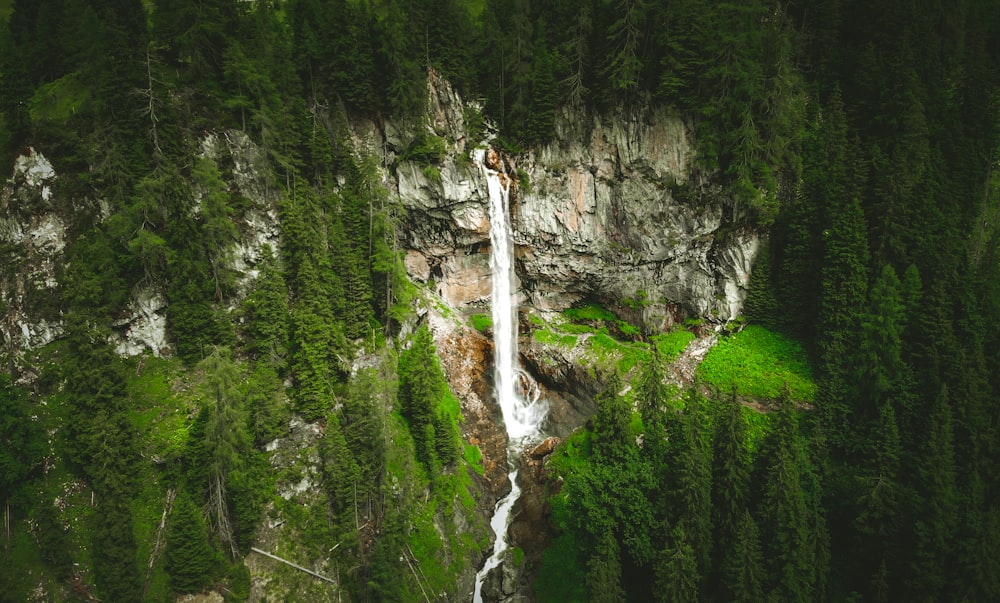 cascadas en medio de árboles verdes