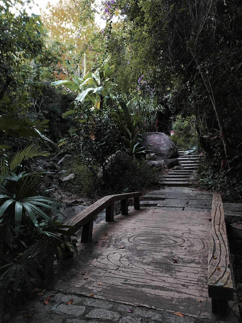 brown wooden bridge surrounded by green plants