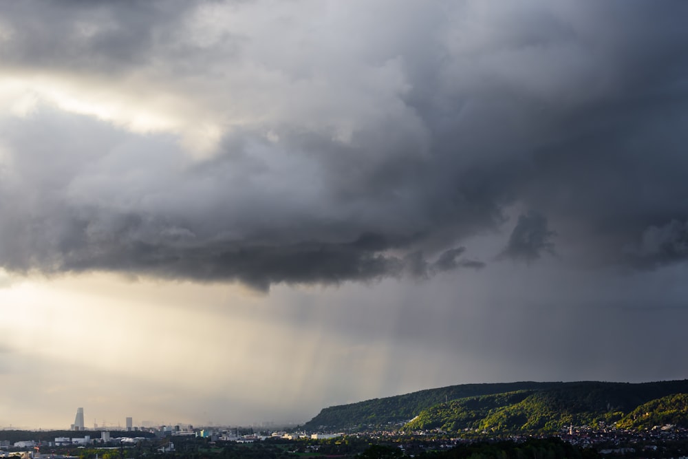 Champ d’herbe verte sous les nuages blancs