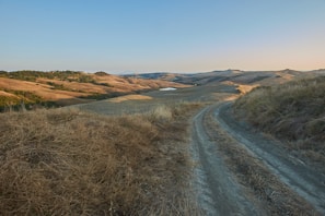 A winding dirt road disappearing into a golden sunset over rolling hills