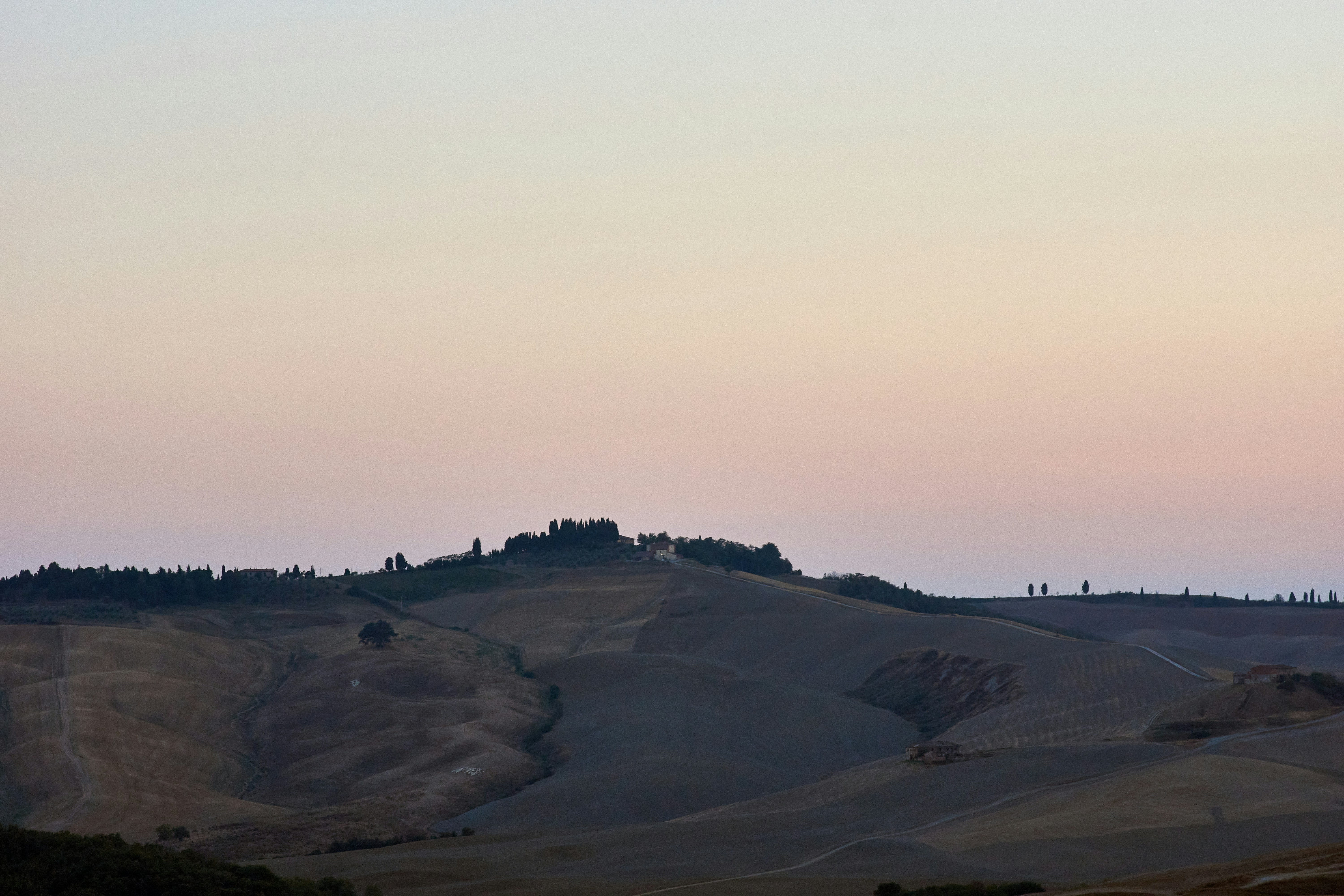 Photo by wolfgang_hasselmann