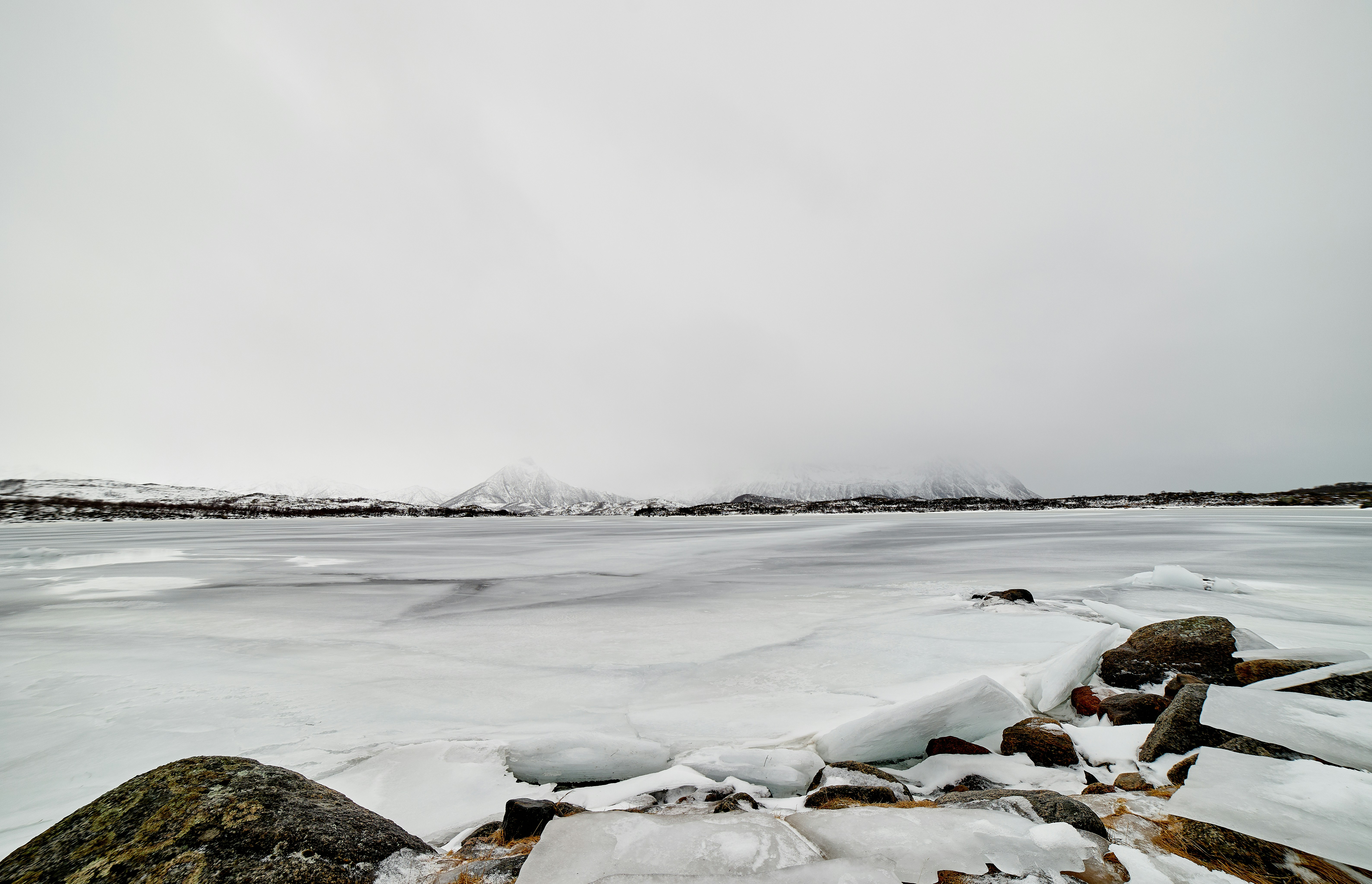 Photo by wolfgang_hasselmann