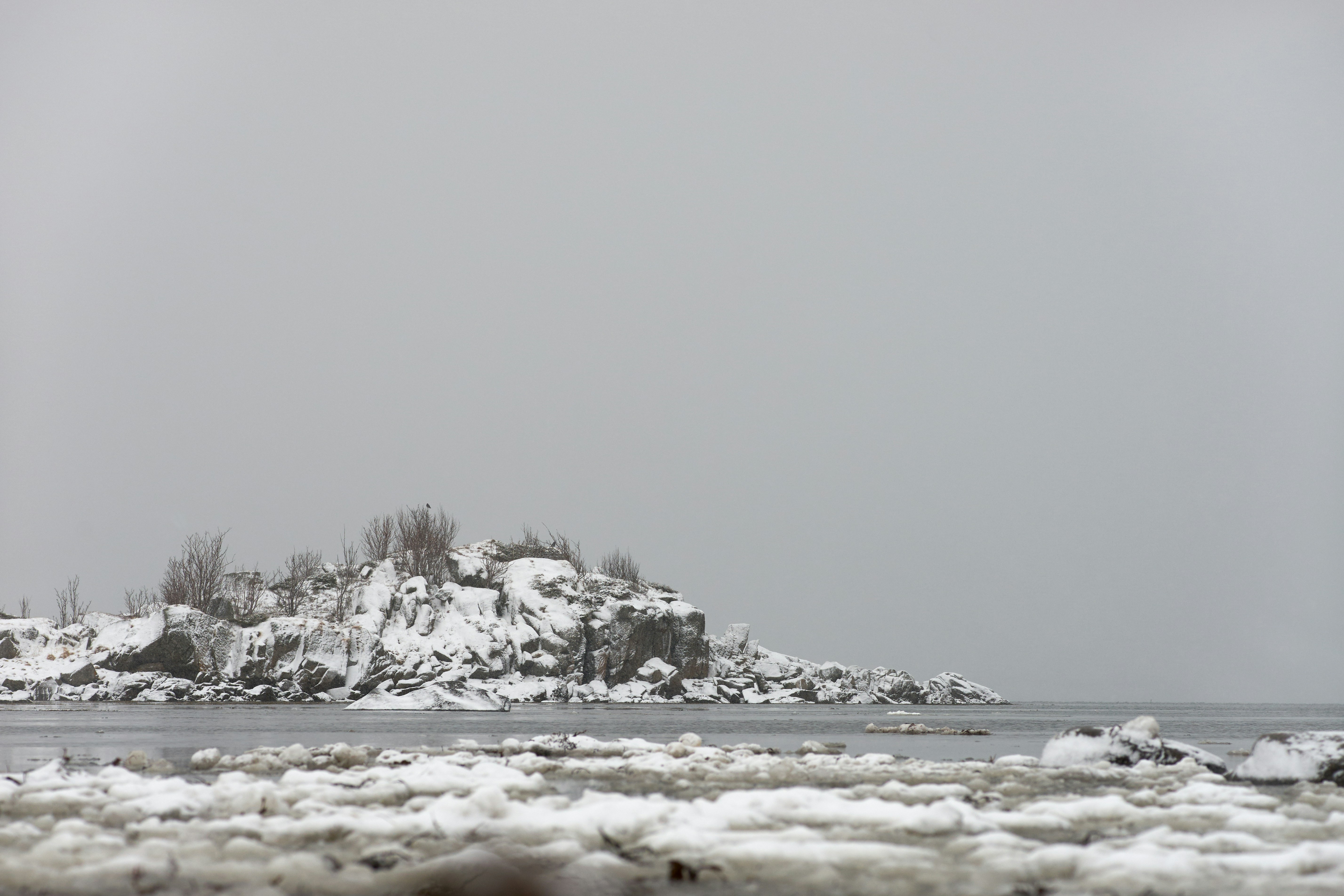 Photo by wolfgang_hasselmann