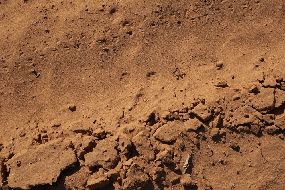 brown sand with footprints during daytime