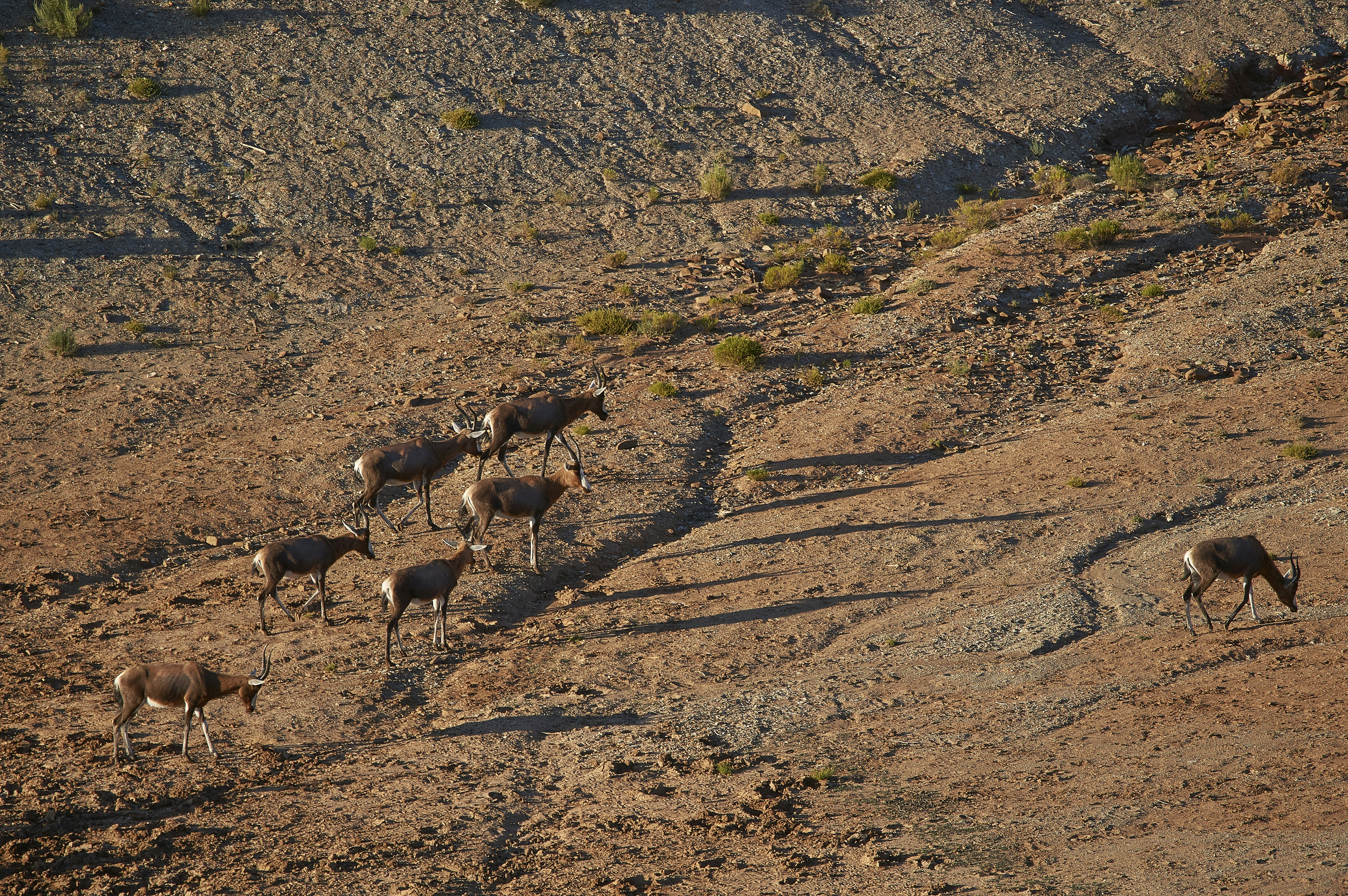 Photo by wolfgang_hasselmann