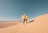 A happy traveler sliding down a sand dune on a sandboard with a bright blue sky.
