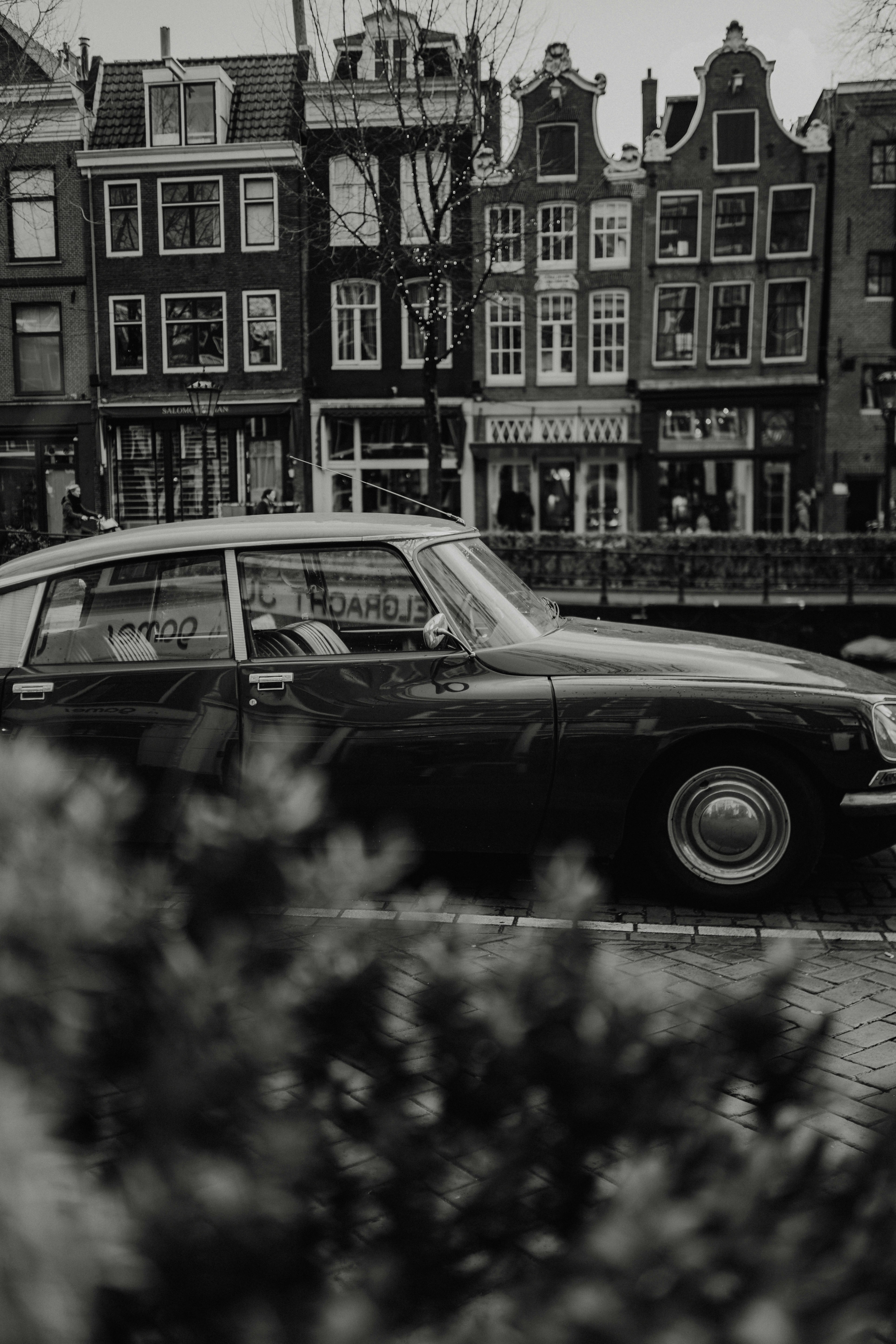 Photo by luiseandnic