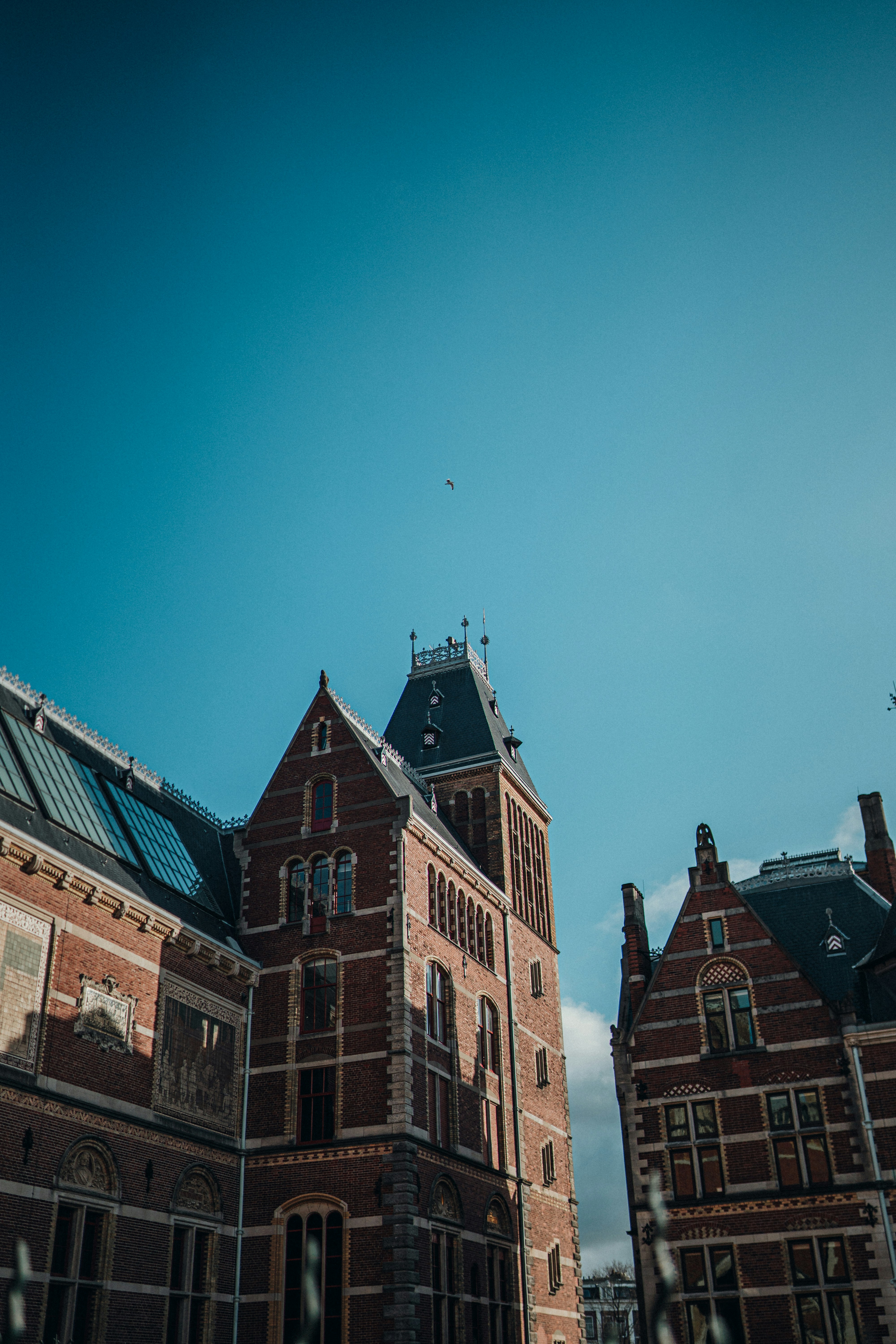 Photo by luiseandnic