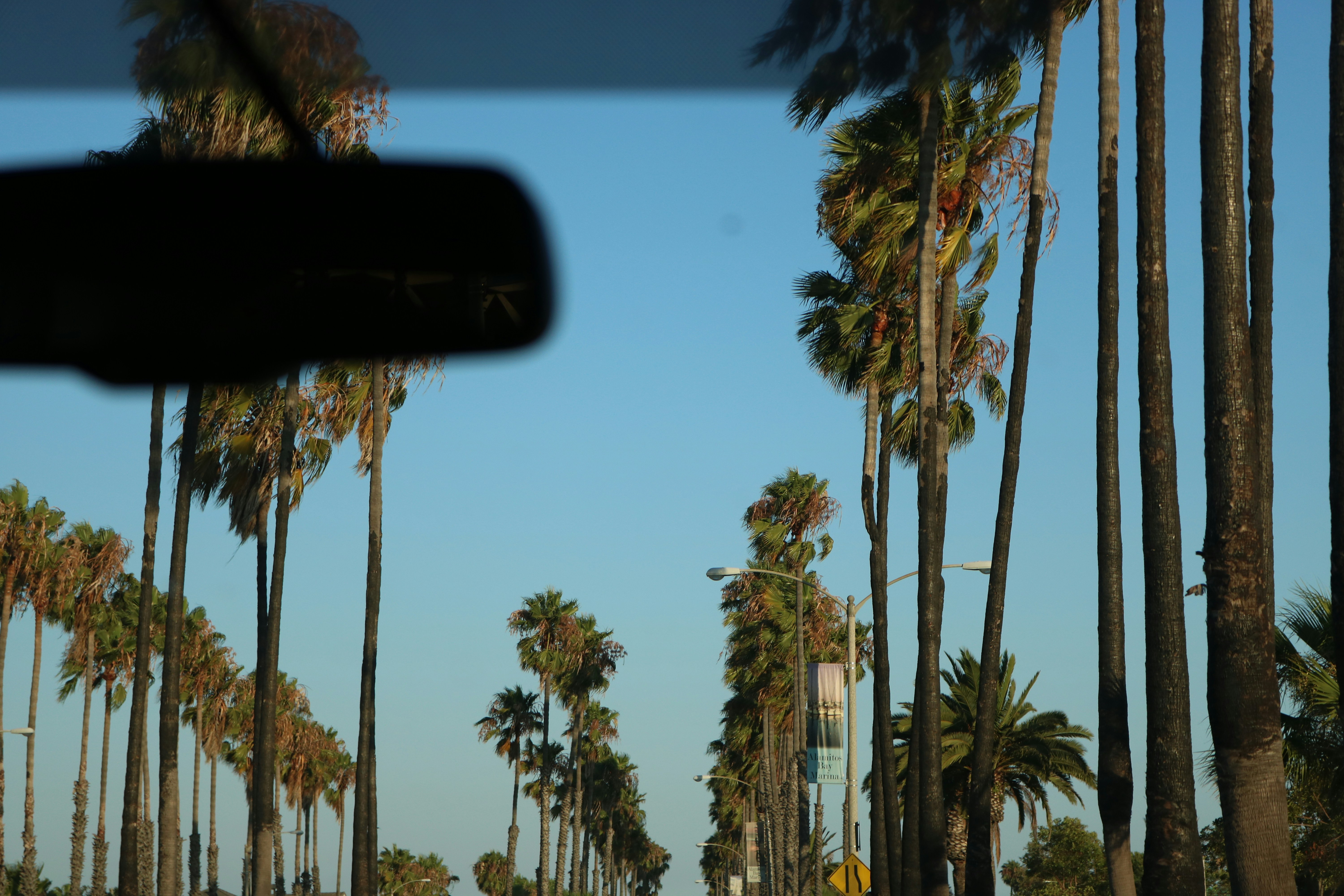 thca in California​ 2025: Legal Guide and Update