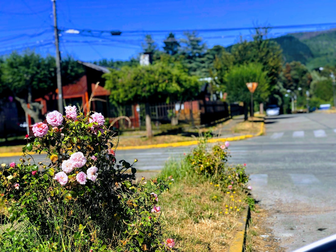 Town photo spot Los Lagos Chile