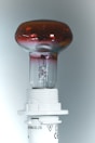 red and white light bulb