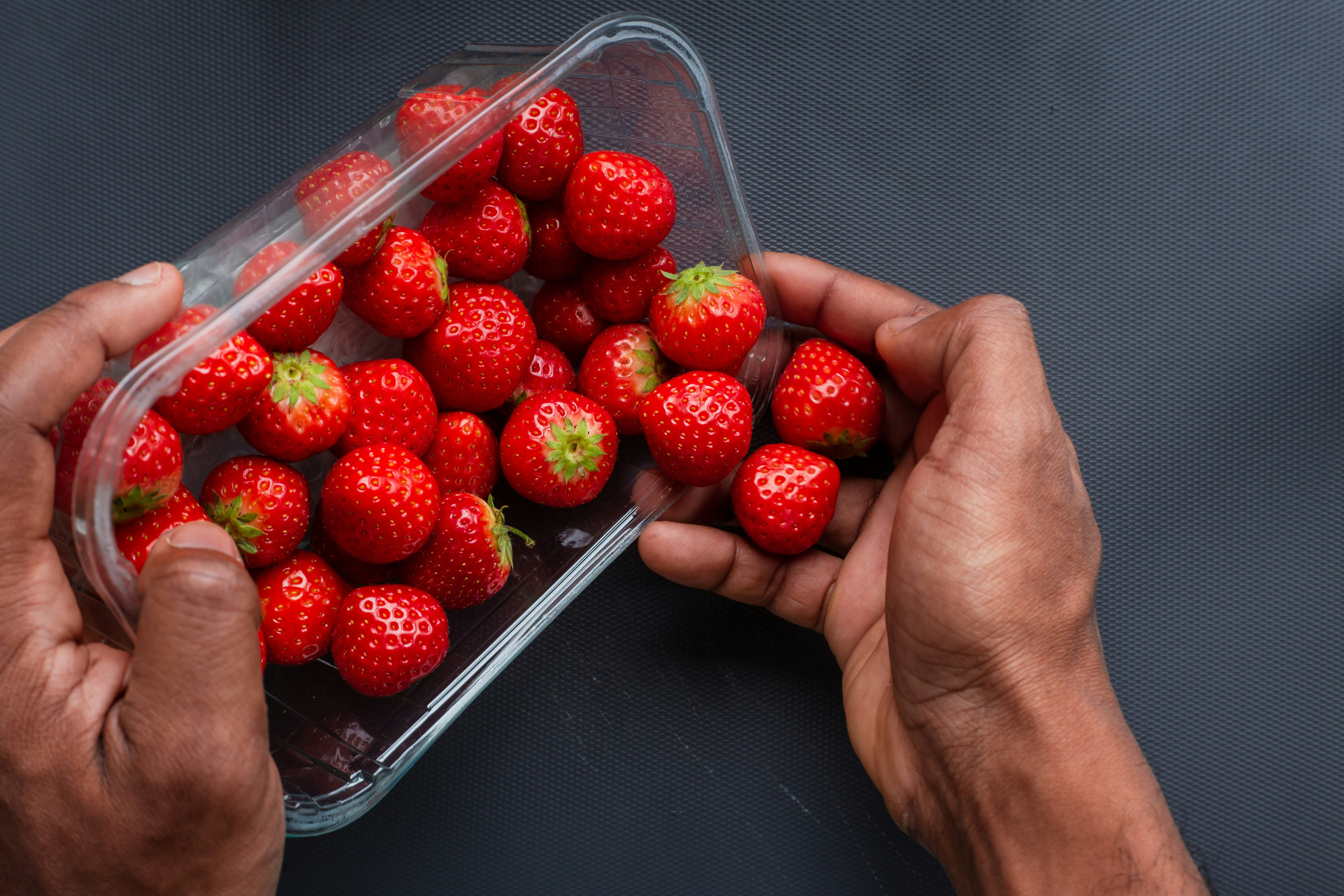 강아지 딸기 블루베리 체리 급여 시 주의사항 및 씨앗 제거 필수 이유 이미지1
