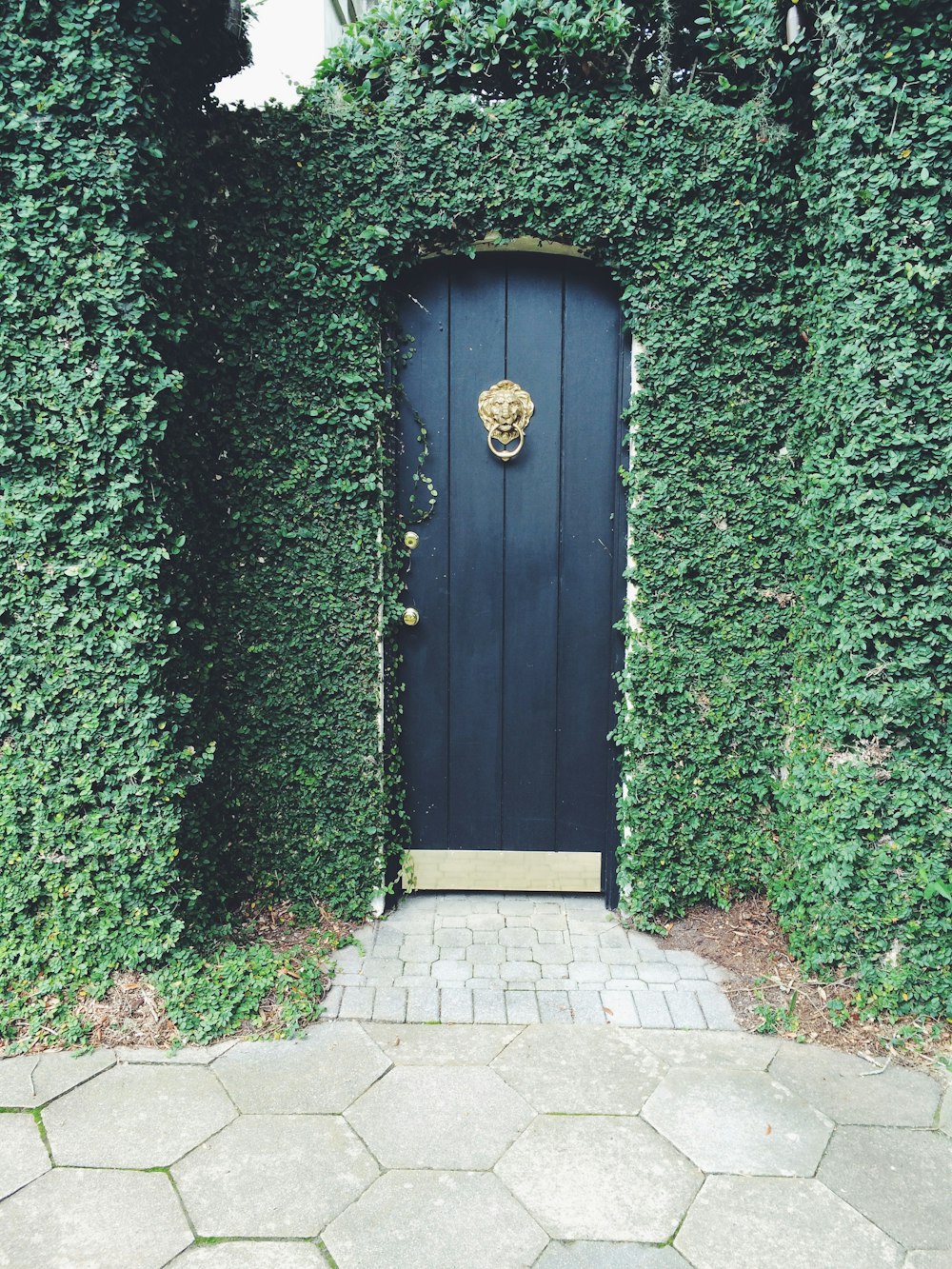 green wooden door on green grass