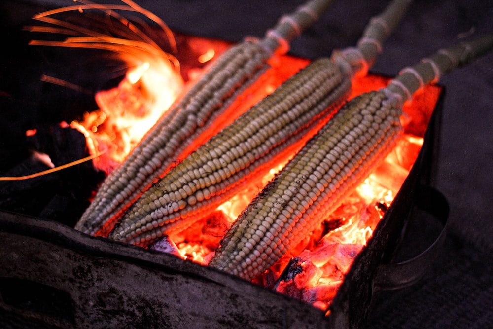 grilled sausage on black charcoal grill