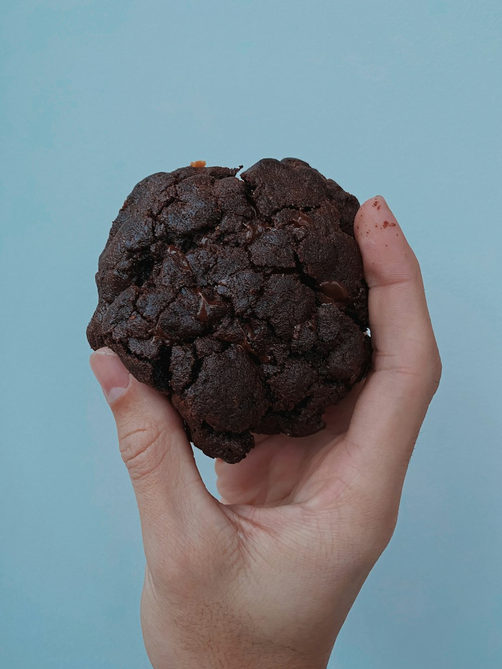 person holding a brown round ornament