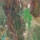 aerial view of green and brown land