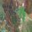 aerial view of green and brown land
