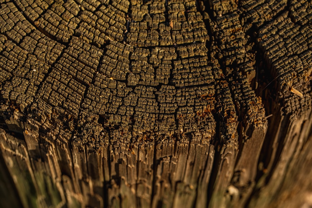 brown and black wooden surface