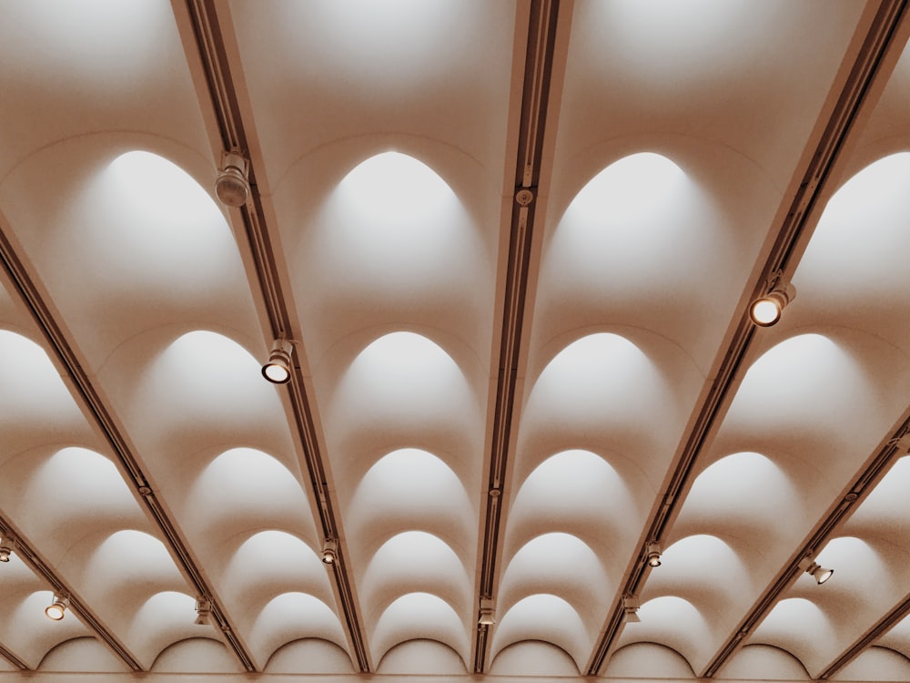brown wooden ceiling with lights