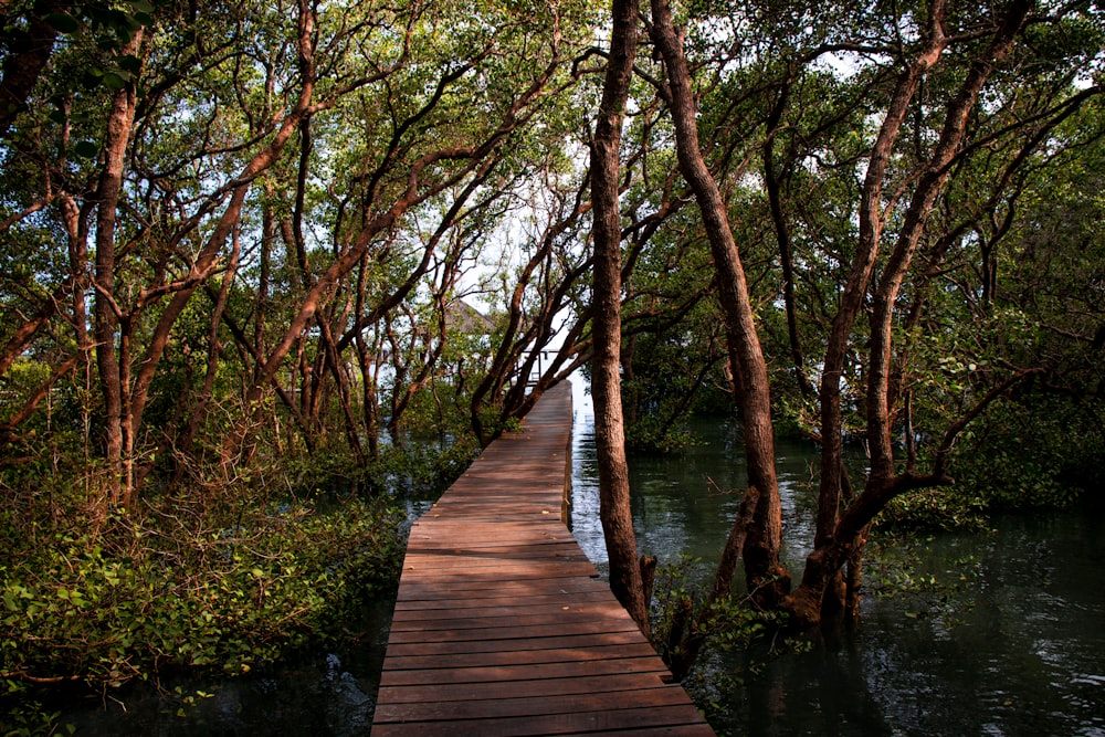 brown wooden bridge over river