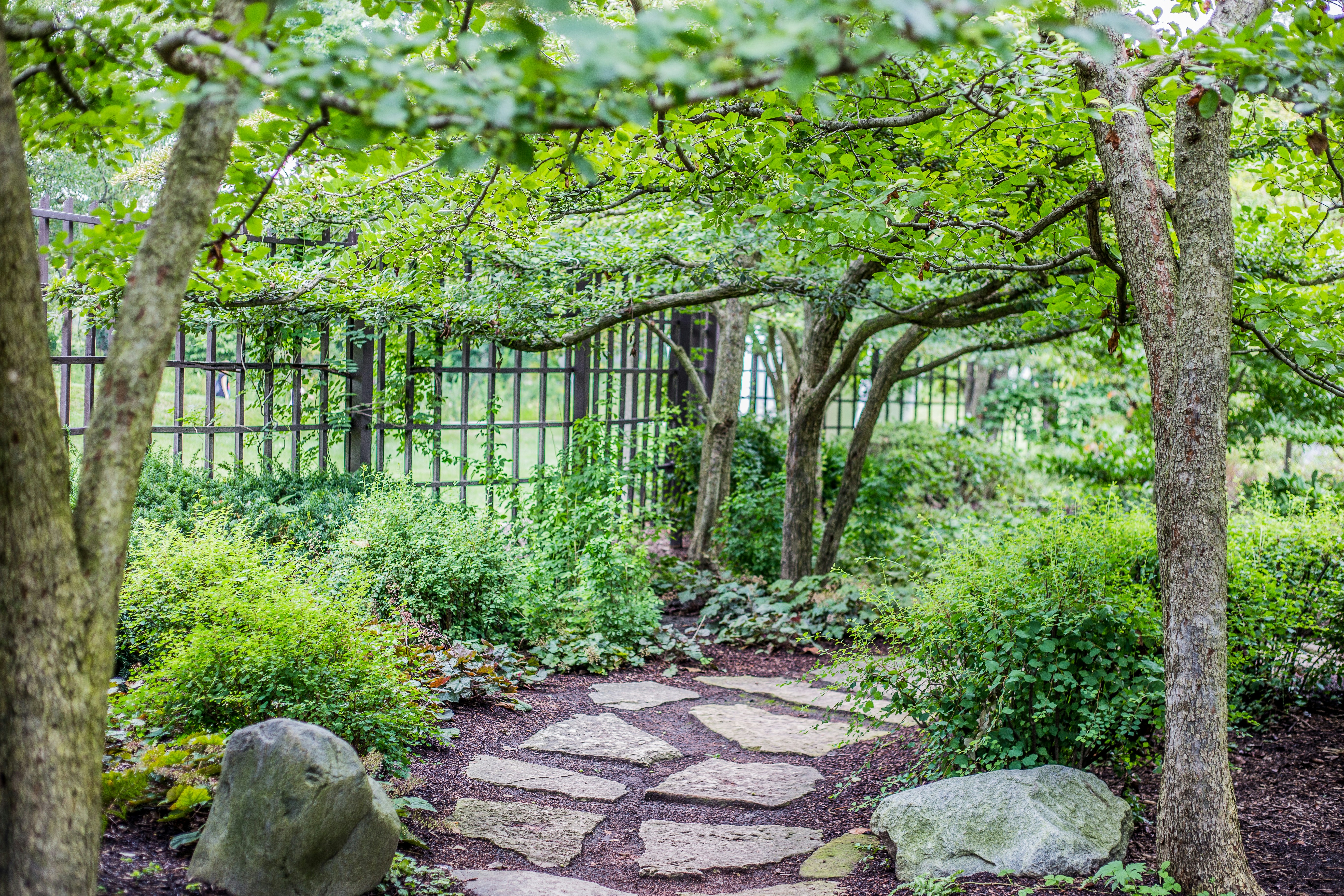 green trees and plants near black metal fence during daytime