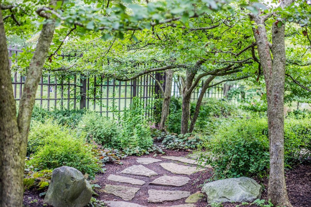 green trees and plants near black metal fence during daytime