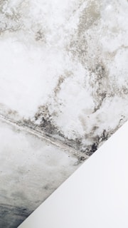 mold on white boat seat