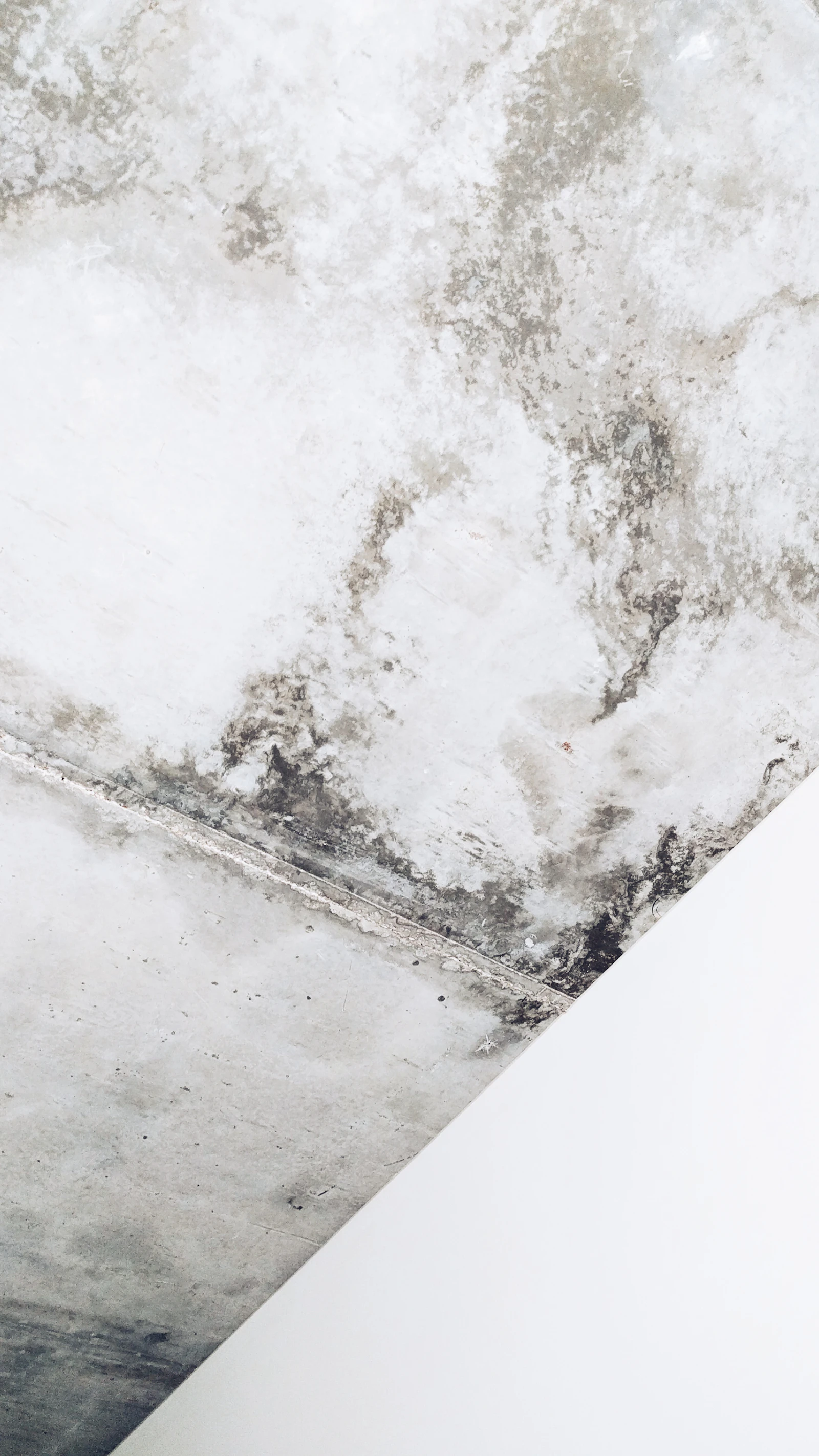 Wall damaged by black mold growth in a damp home