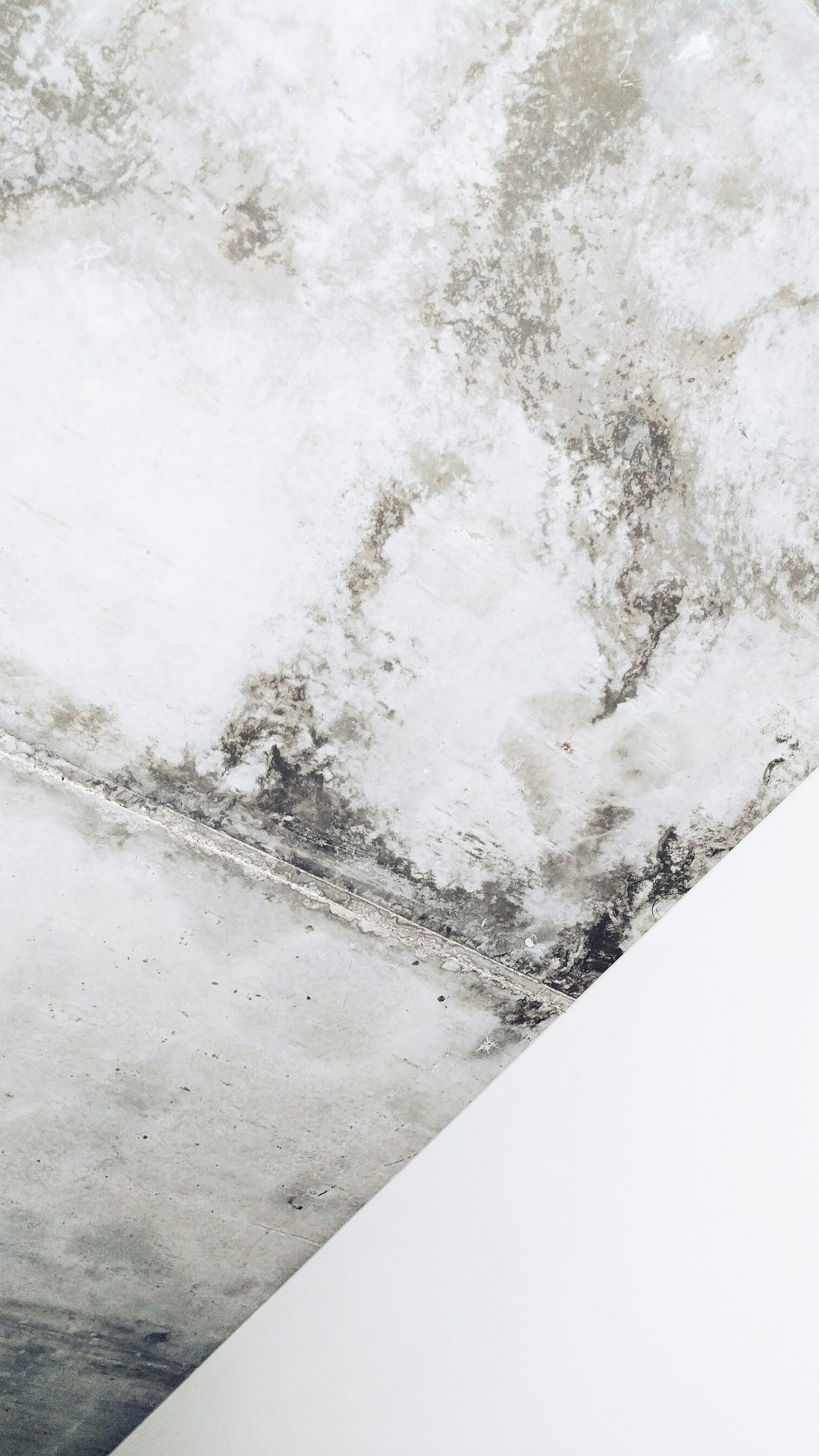 Beyond Bleach: Innovative Methods for Effective Attic Mold Removal