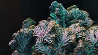 green and white plant in close up photography