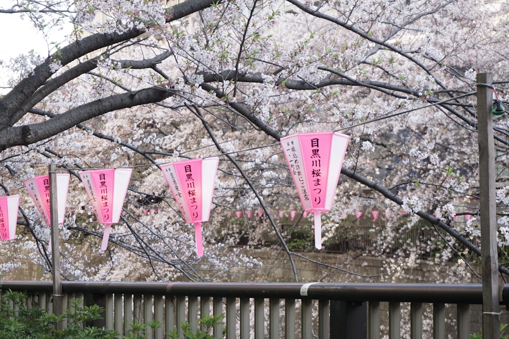 pink and white hanging signage