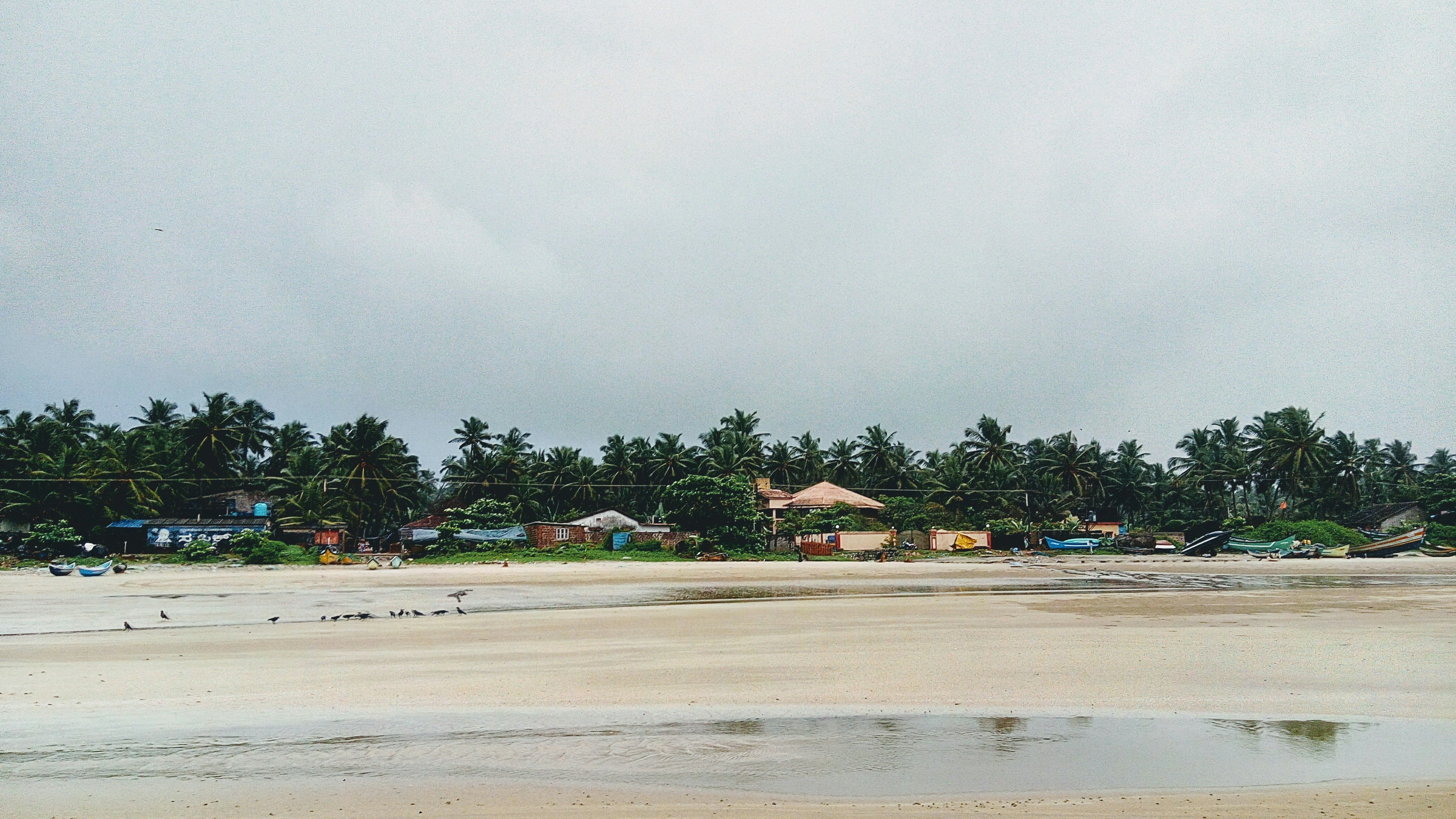 Photo by venkatsudheerreddy1