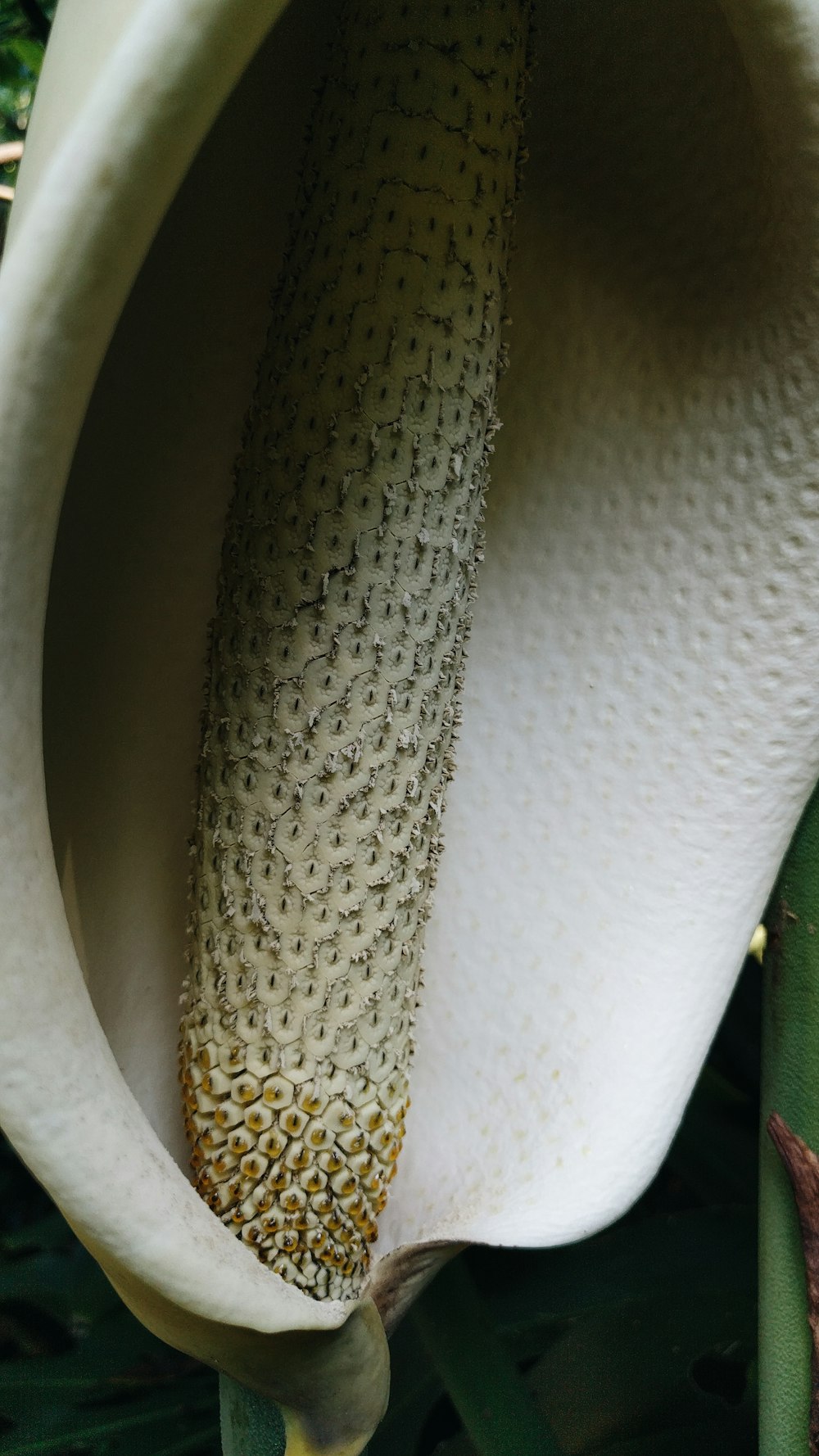 white and brown leather textile