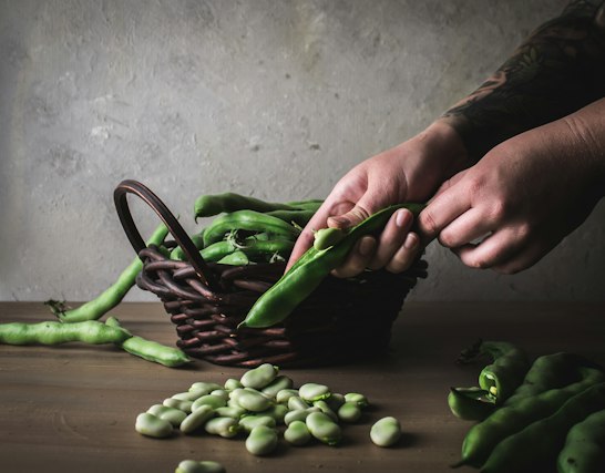 Hands shelling fresh fava beans at a wooden table