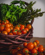 Behind-the-scenes photo shoot with the Pomodoro team planning content around fresh local produce.