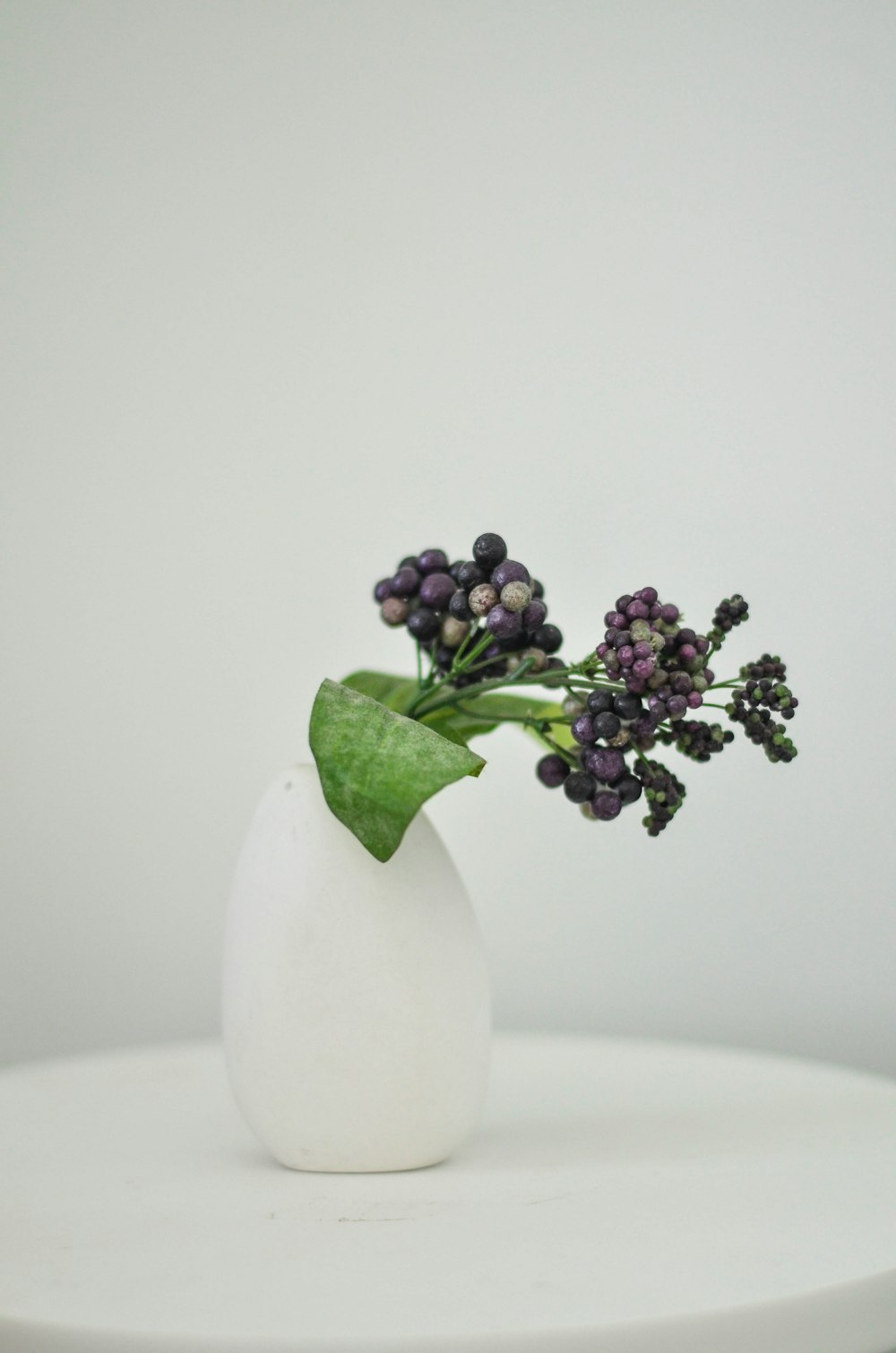 purple flower on white ceramic vase