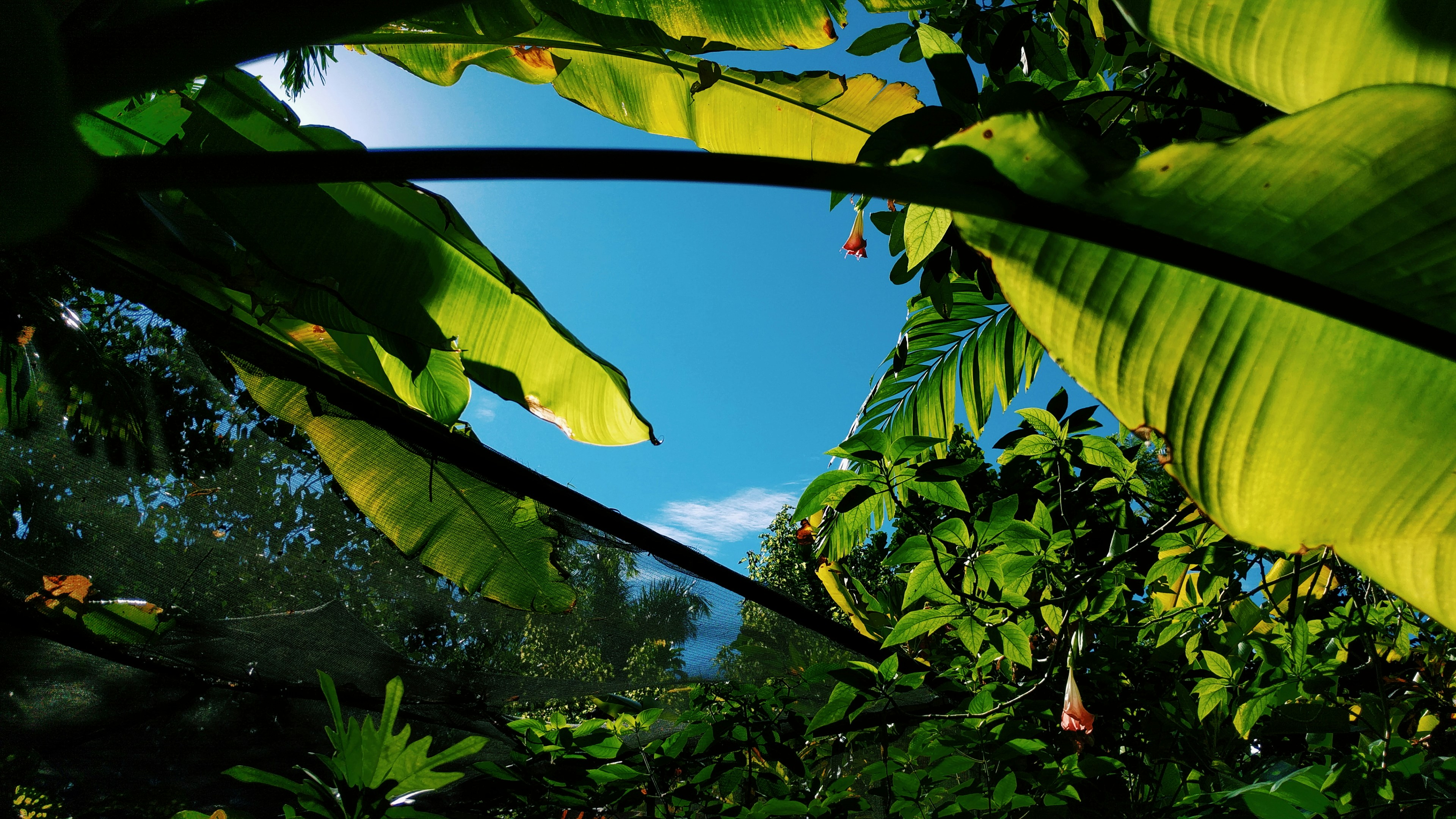 Photo by theoperatingsystem