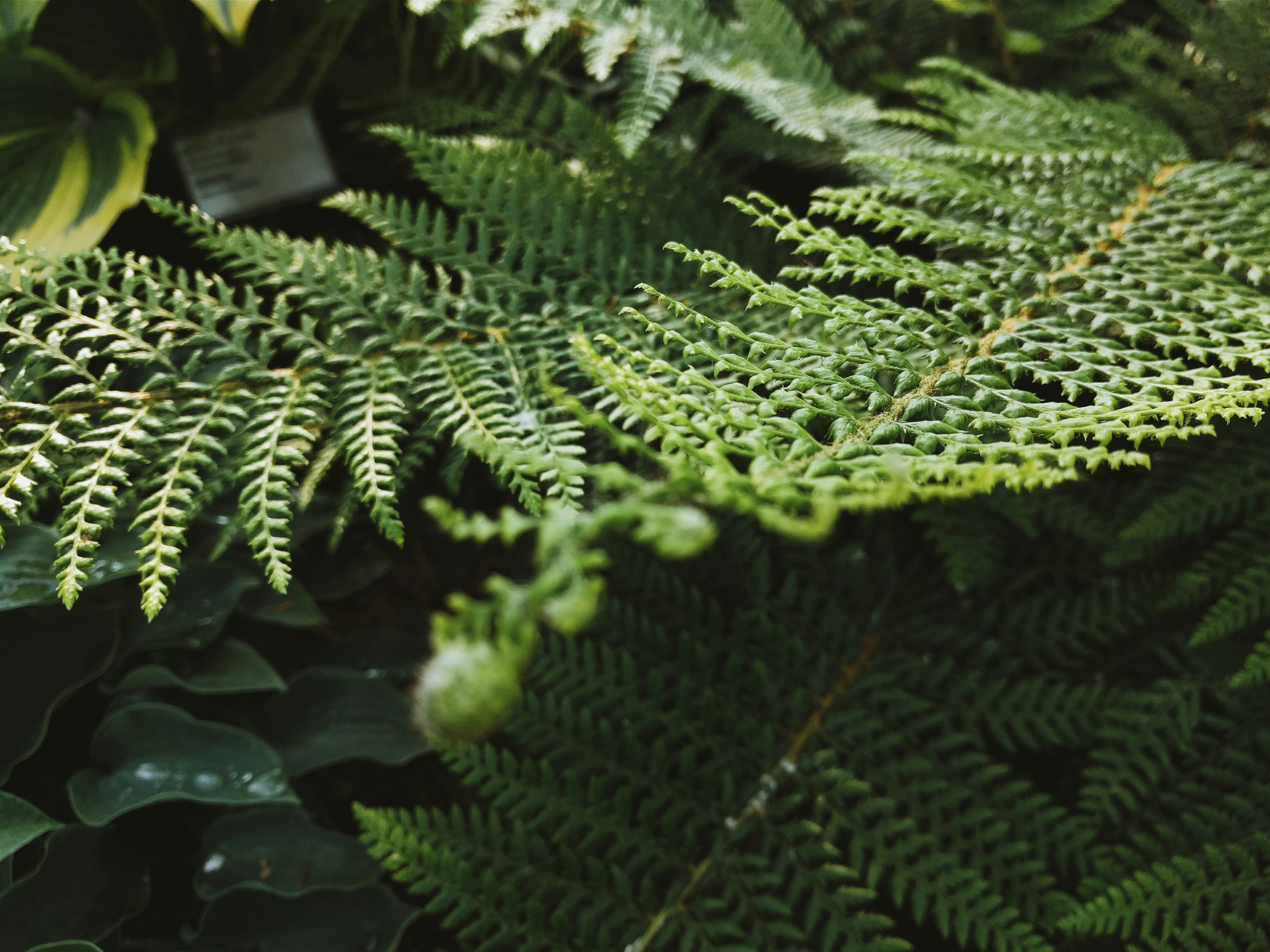 Photo by theoperatingsystem