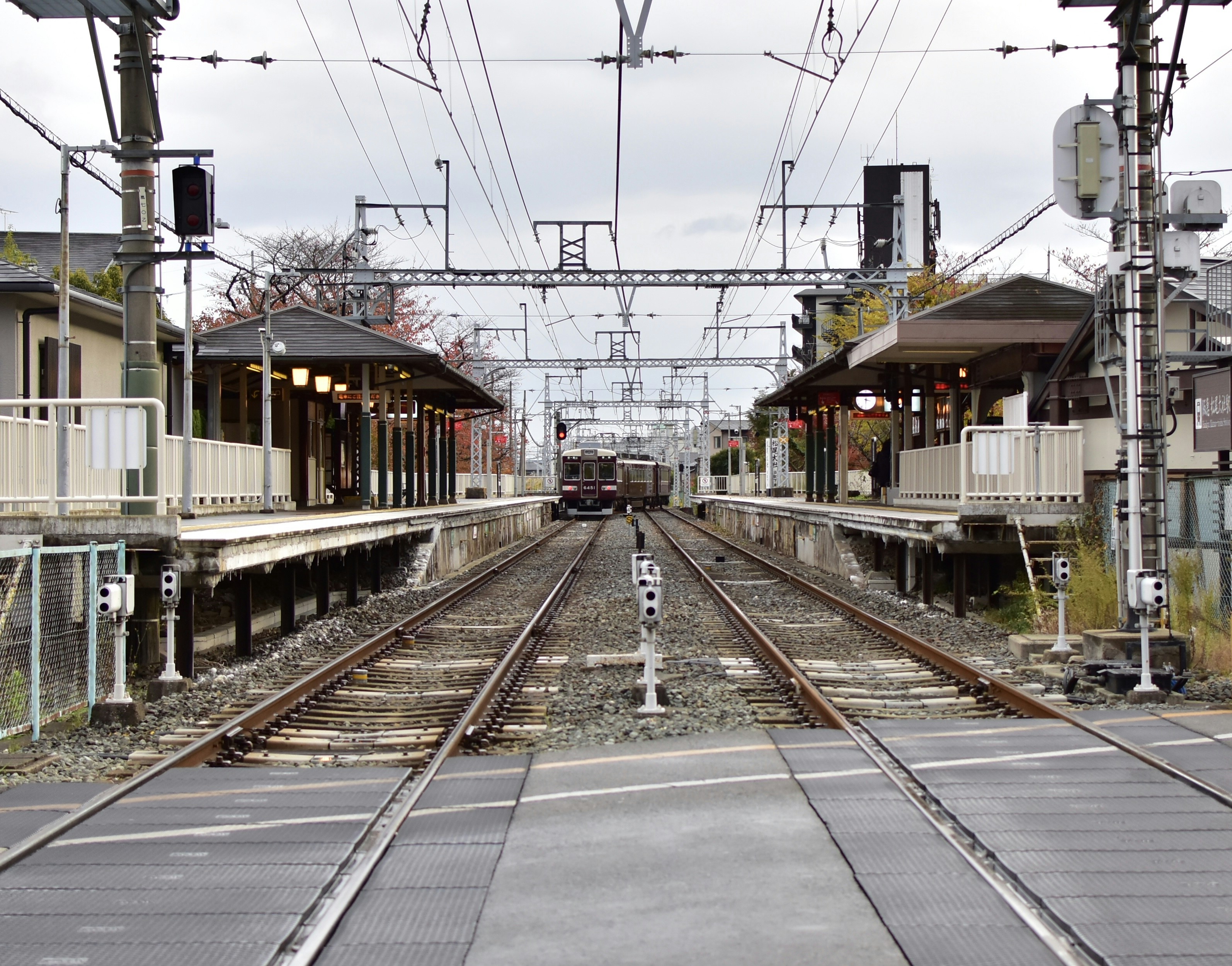 Photo by leoliang1230