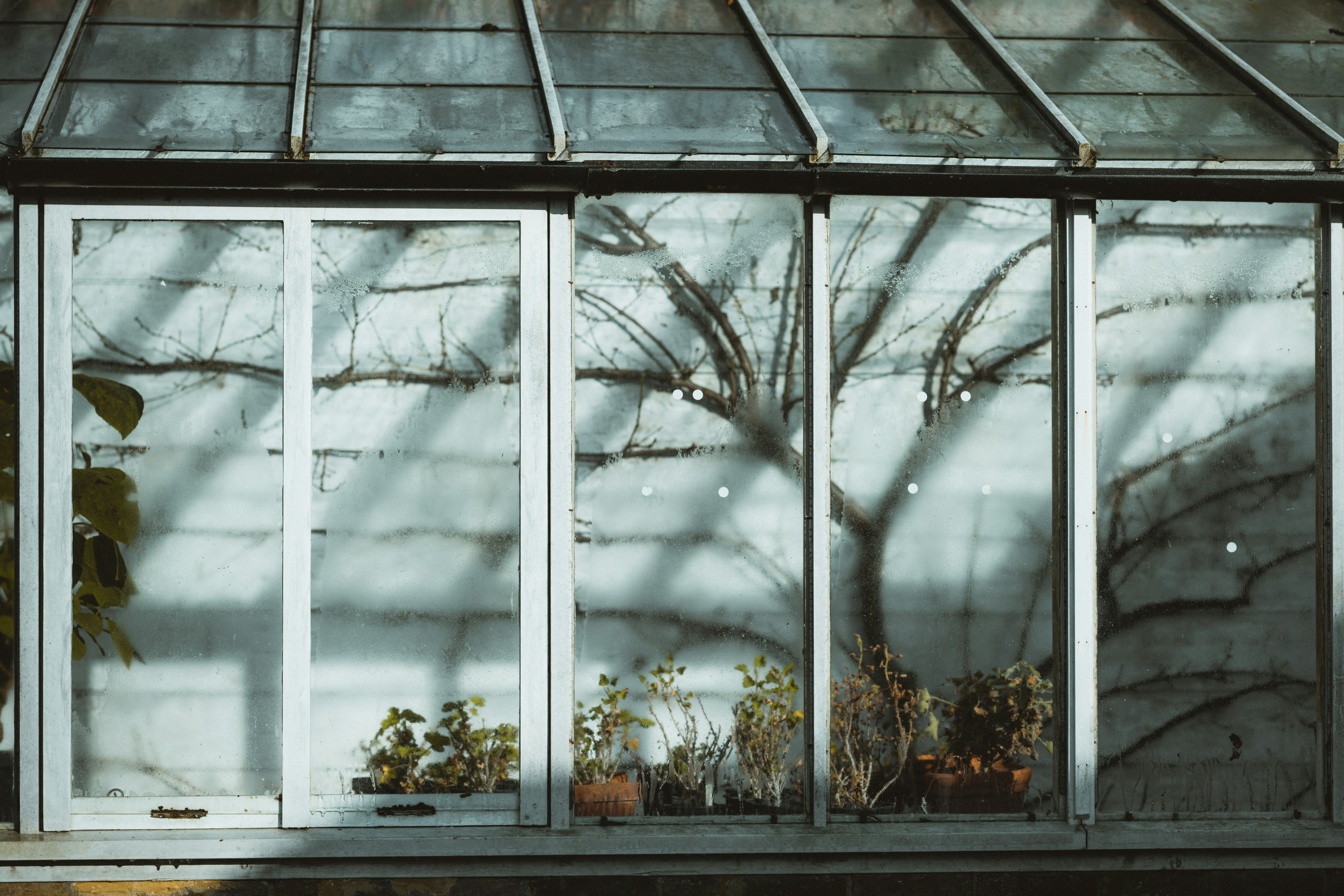Greenhouse Installation Services