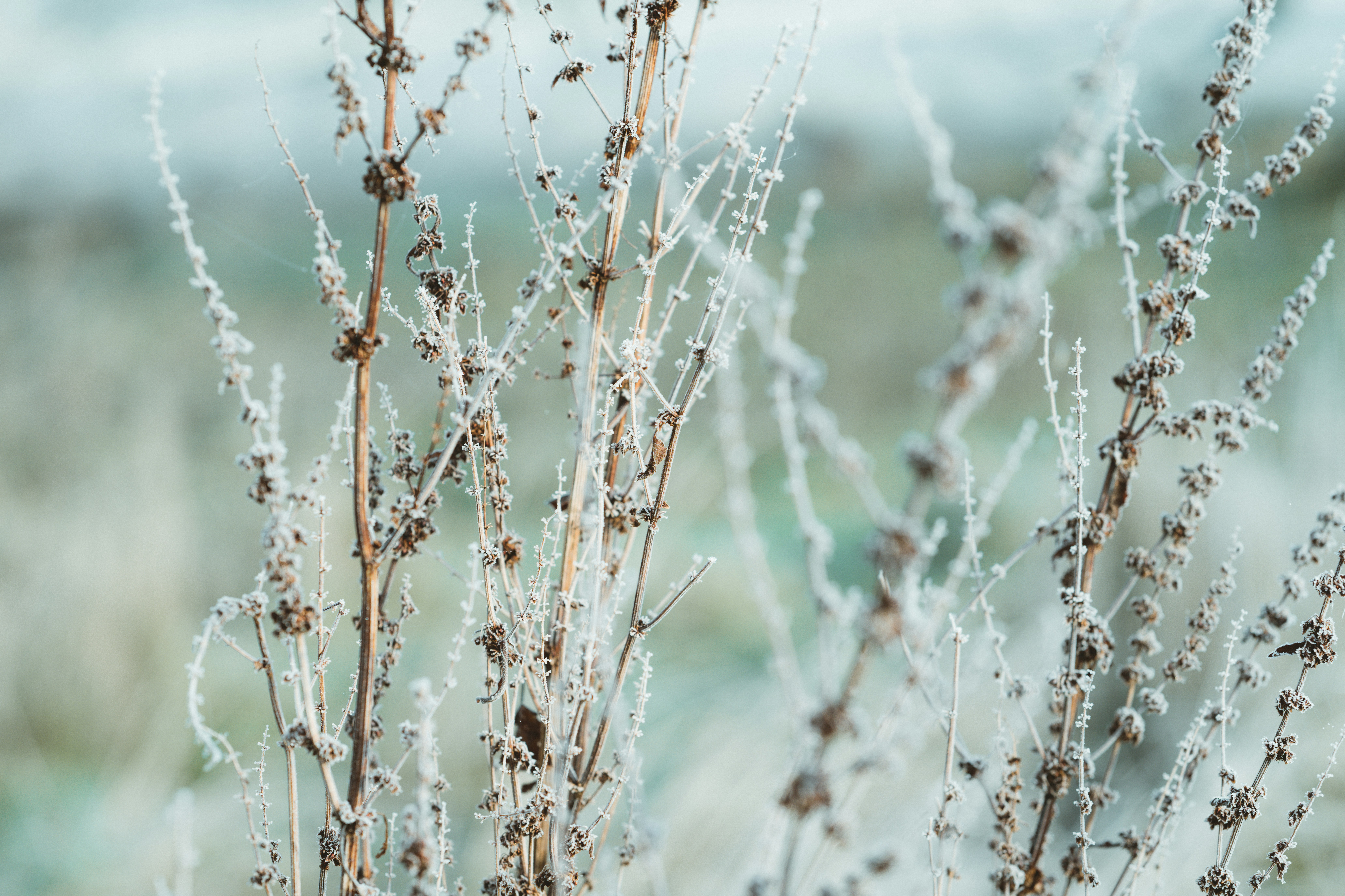 Photo by anniespratt