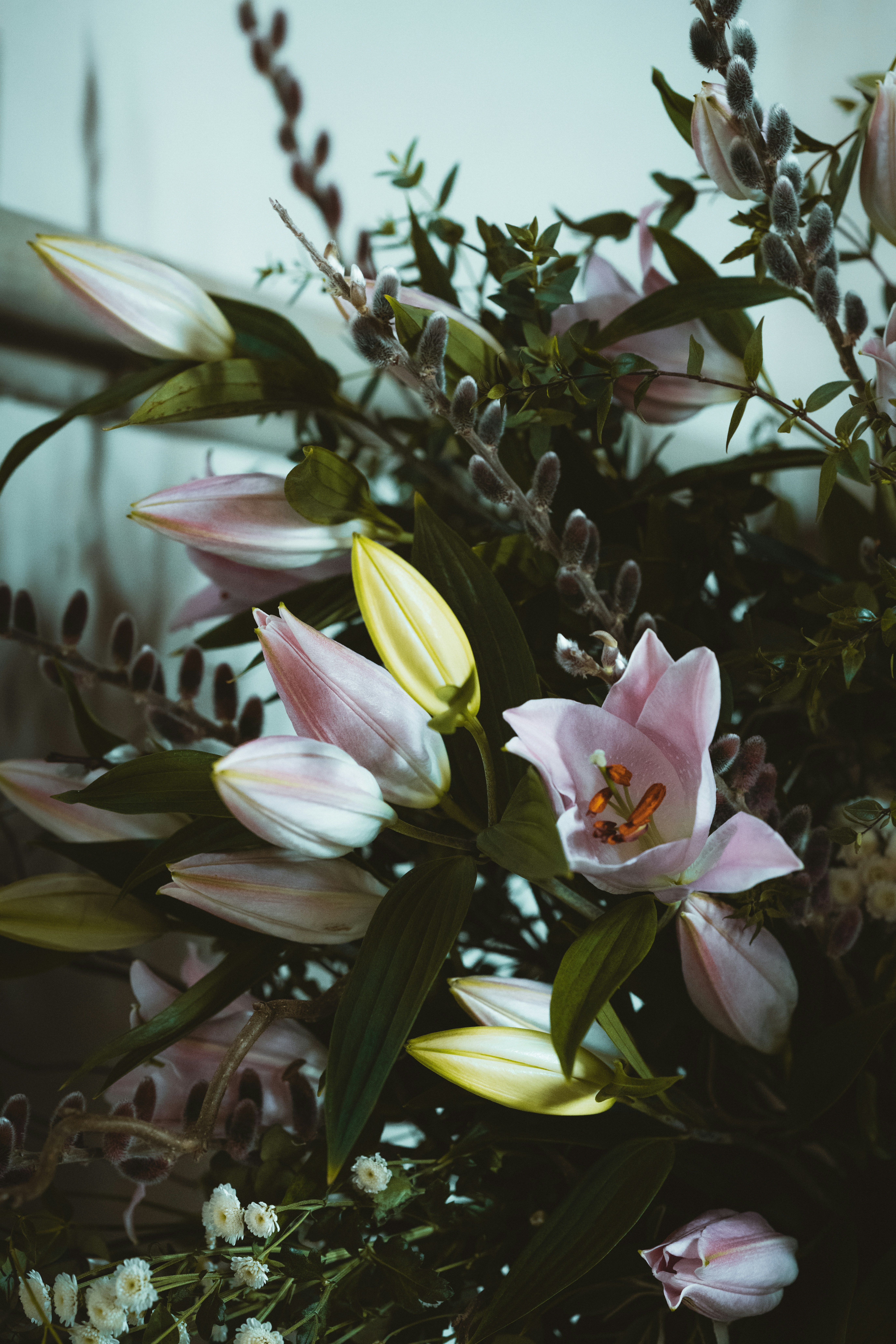 Photo by anniespratt