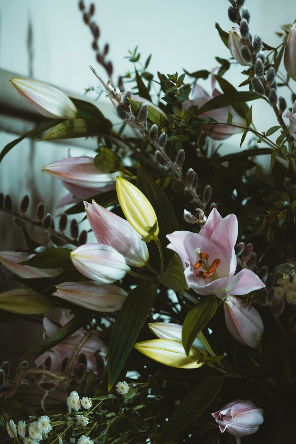 white and purple flower in bloom during daytime