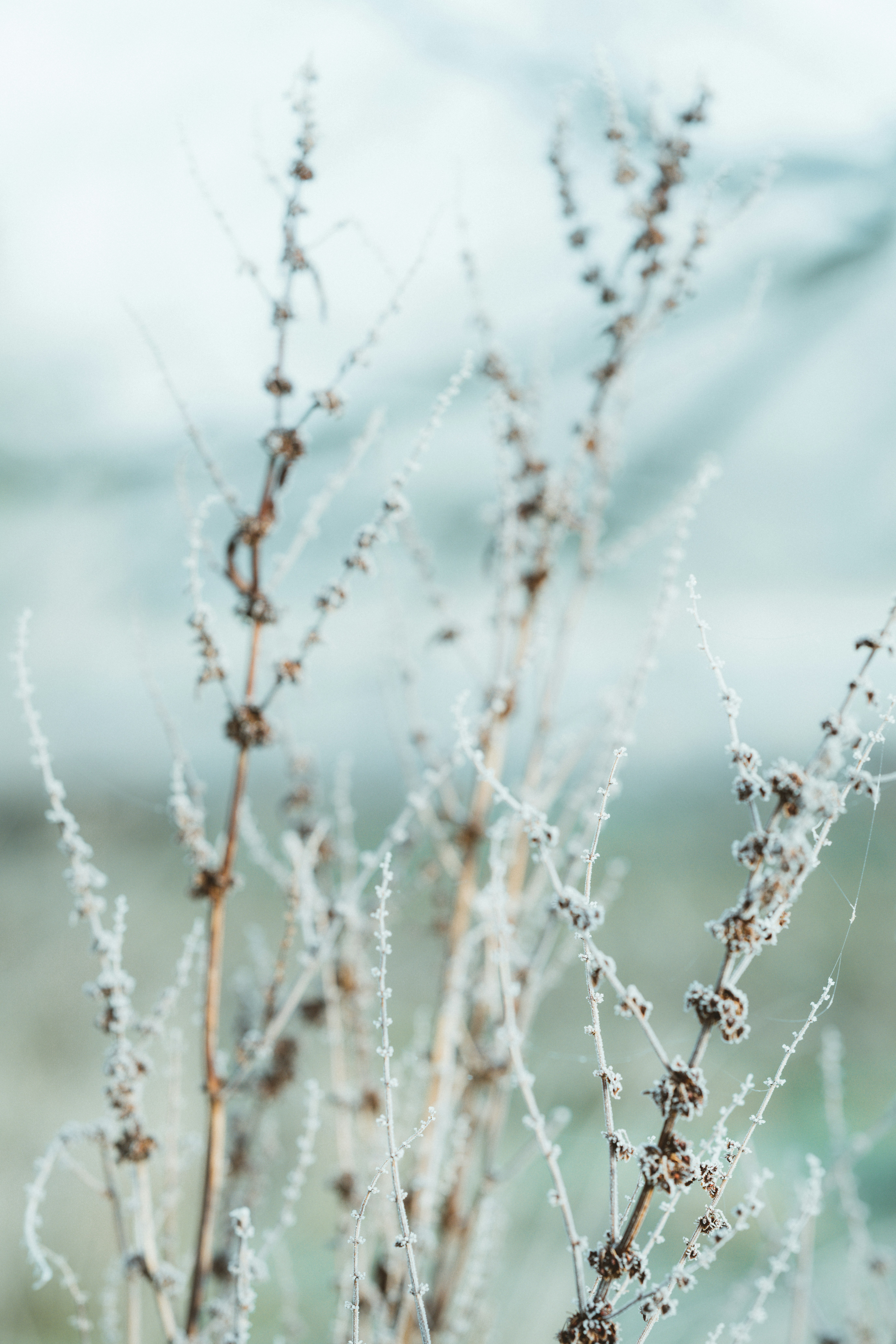 Photo by anniespratt