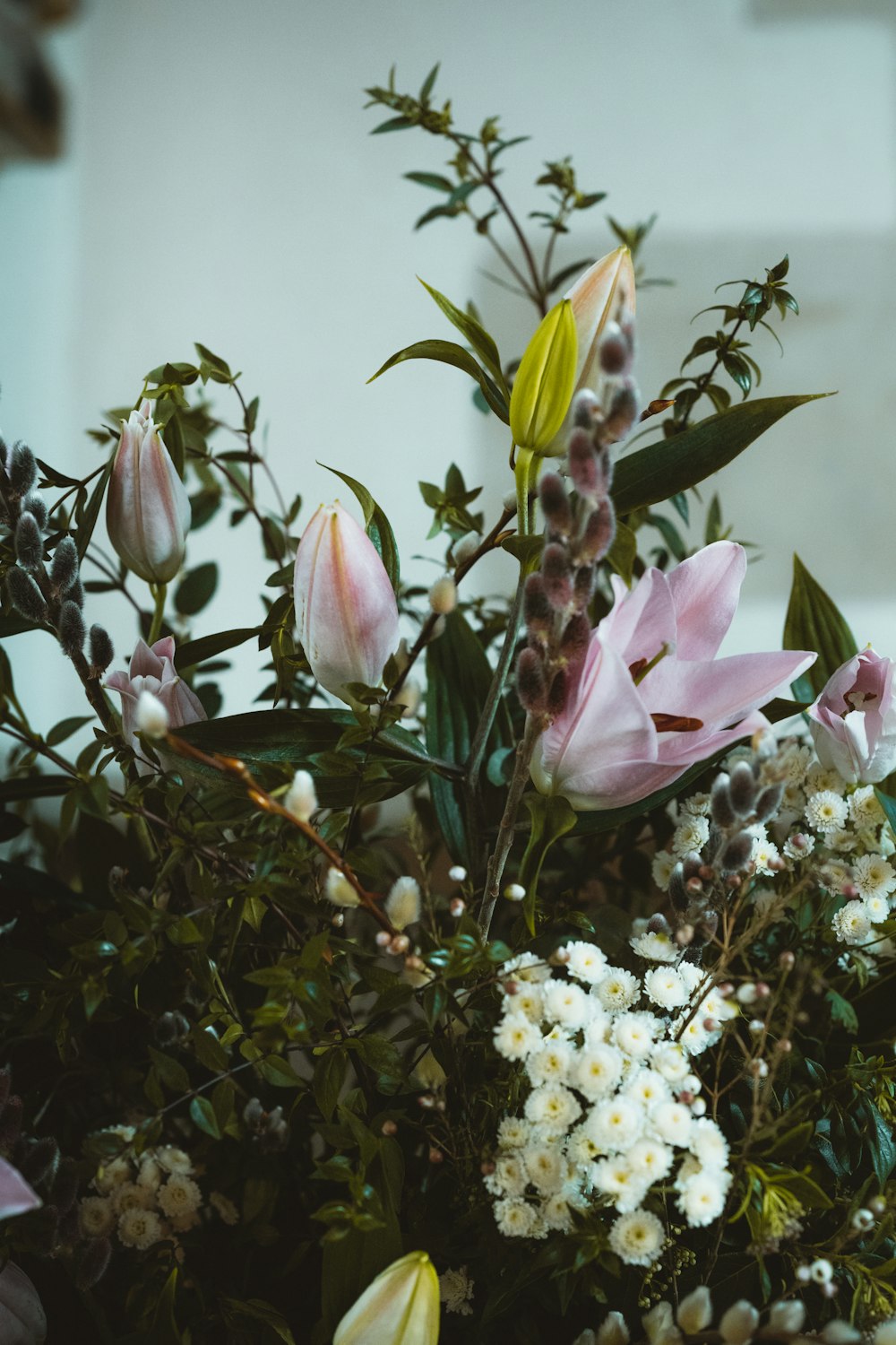 pink and white flowers with green leaves