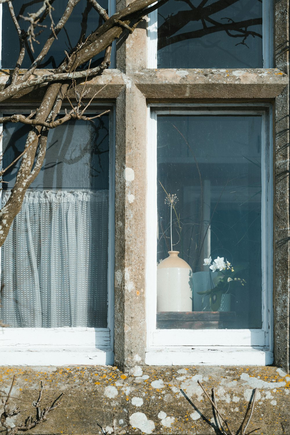 white ceramic vase on window