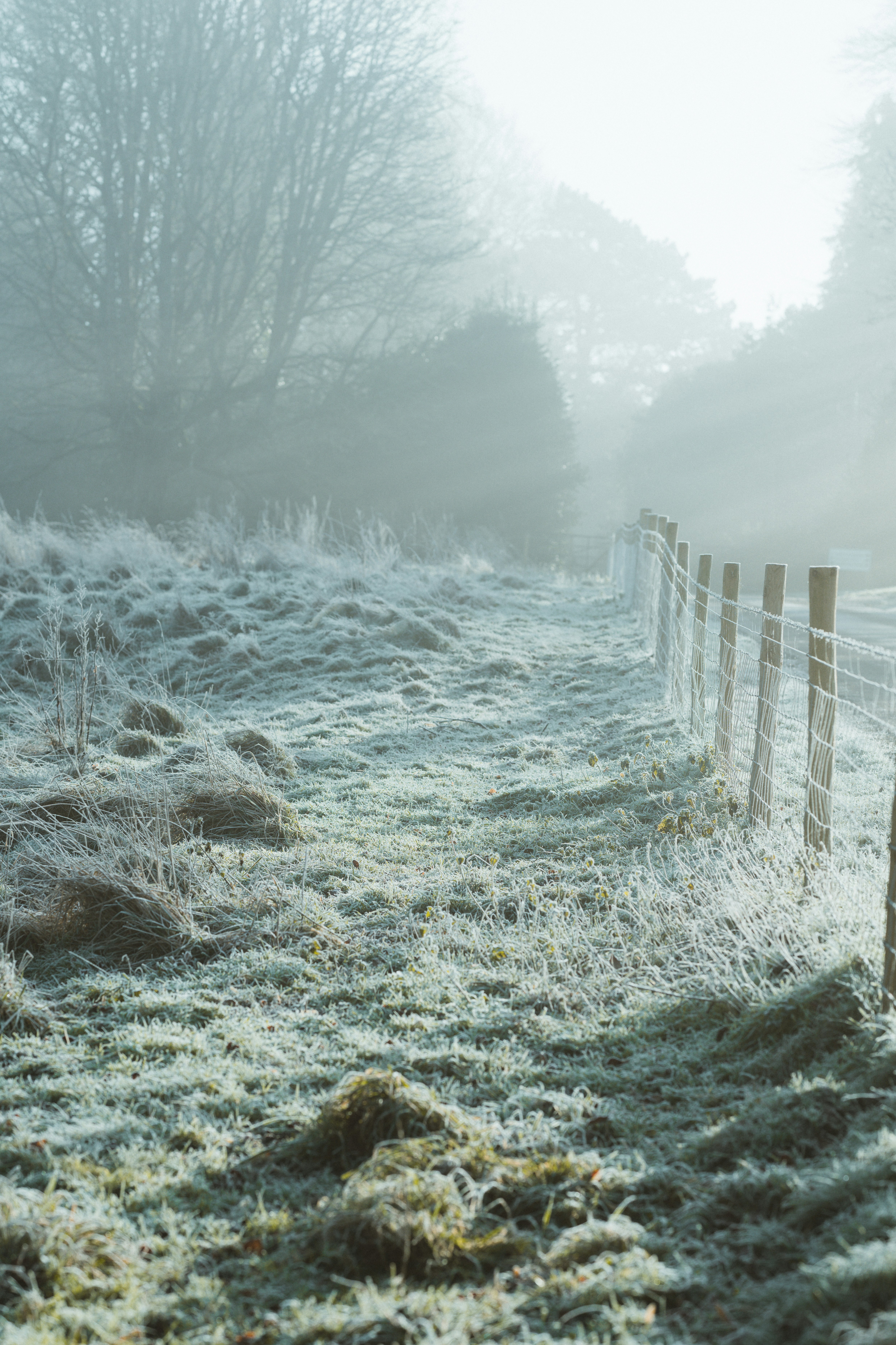 How Can I Address Seasonal Challenges With A Rental Property?