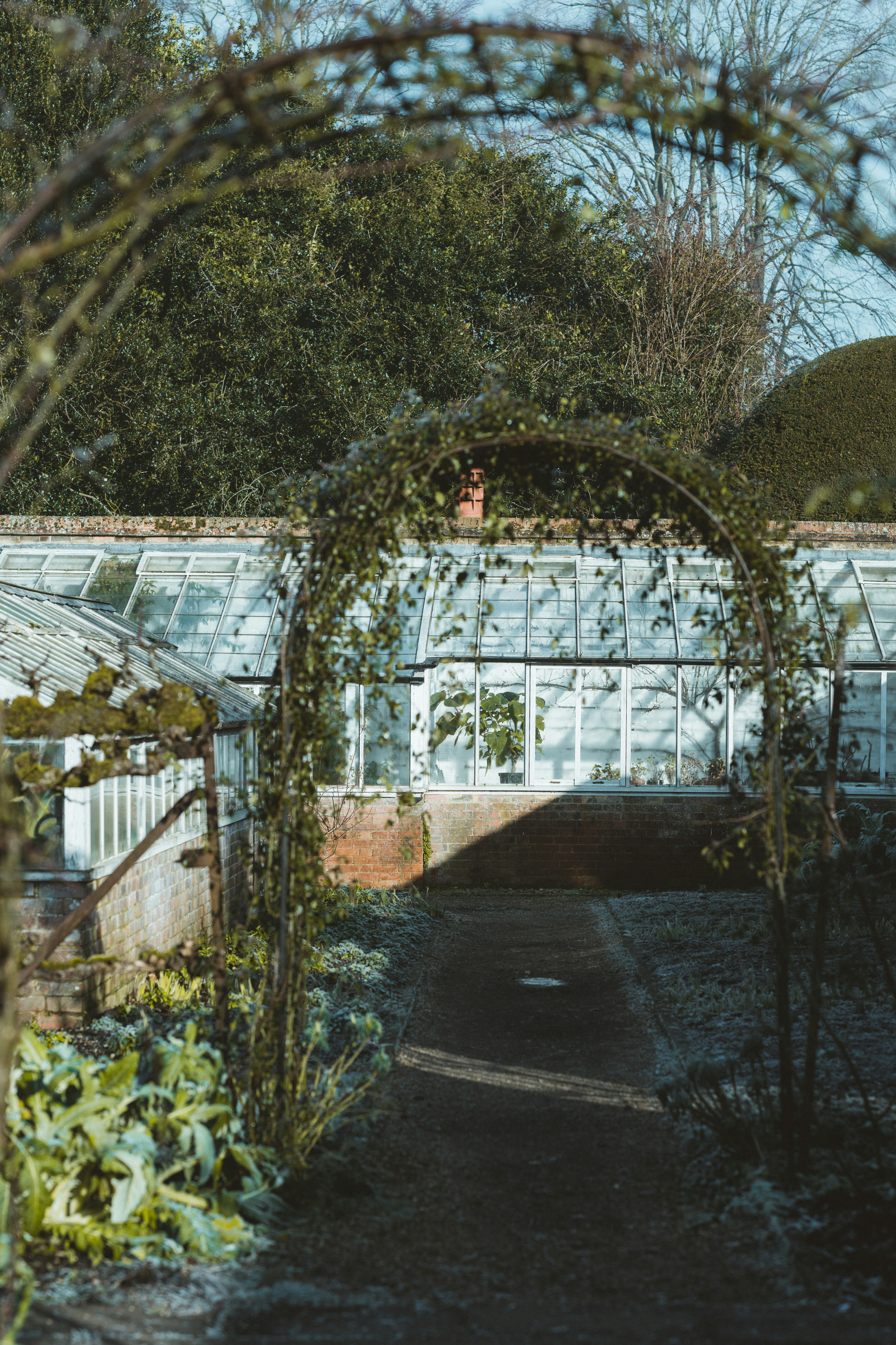 How Lowering Homocysteine Levels Can Help MS Patients