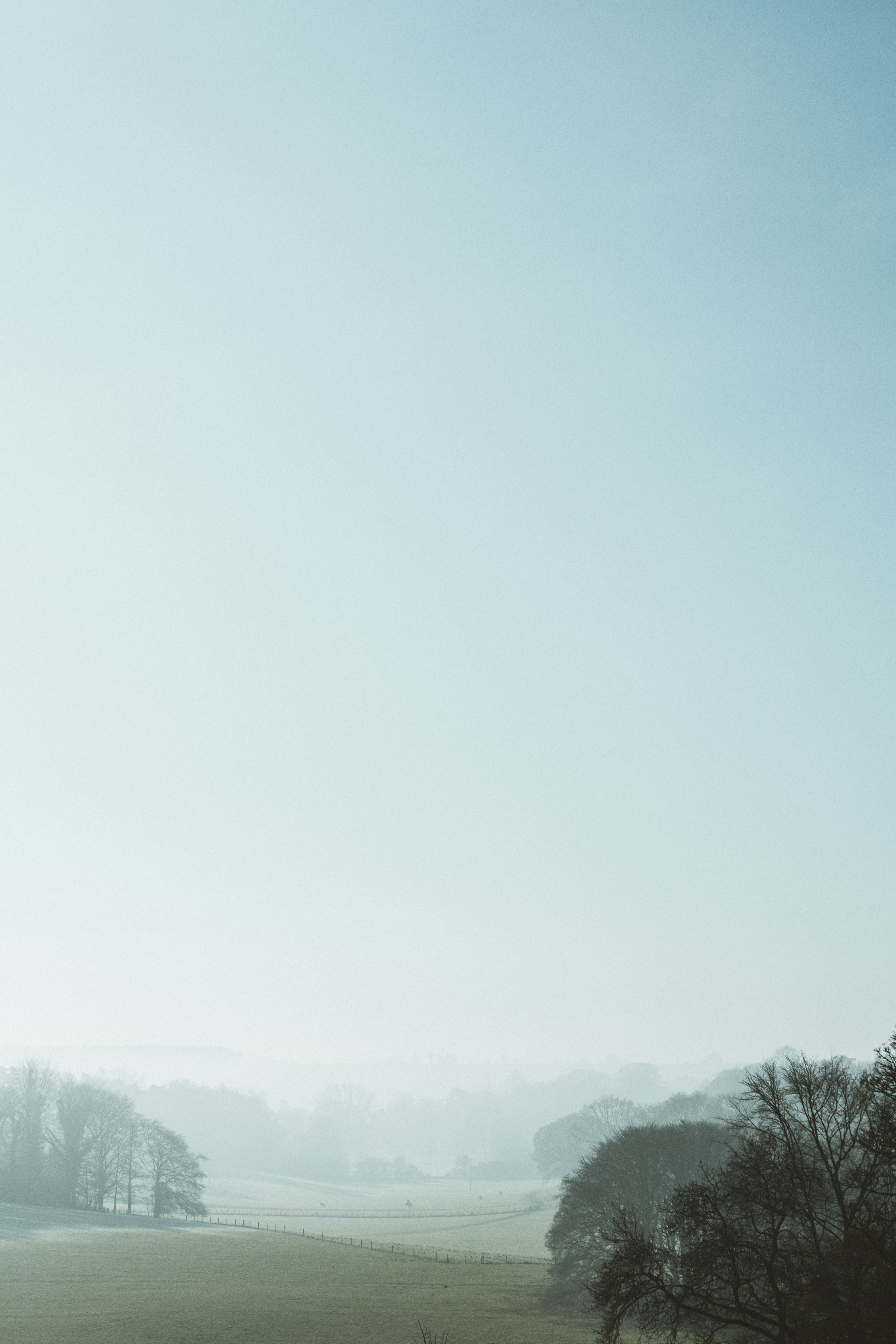 gray computer monitor