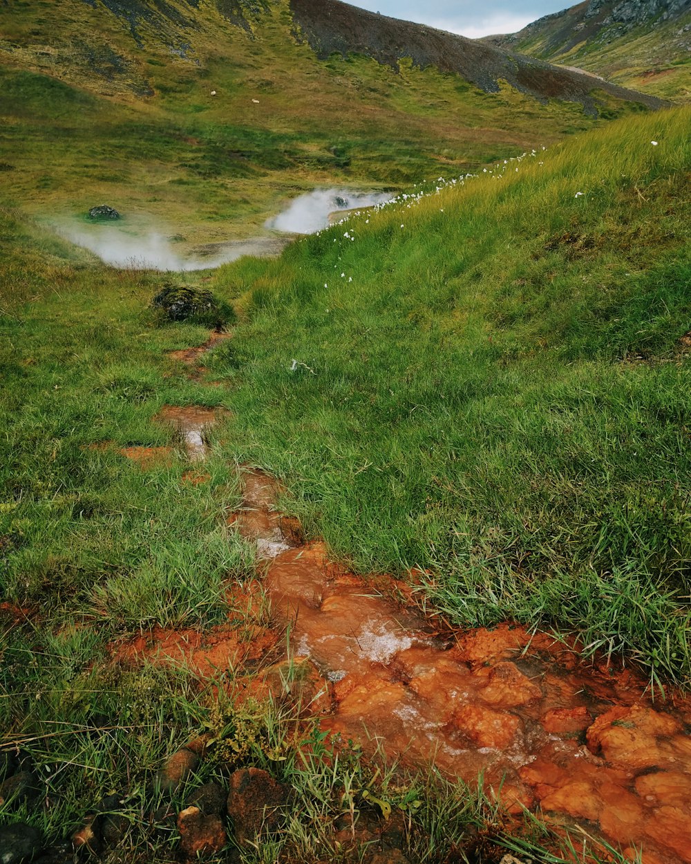 green grass field near body of water during daytime